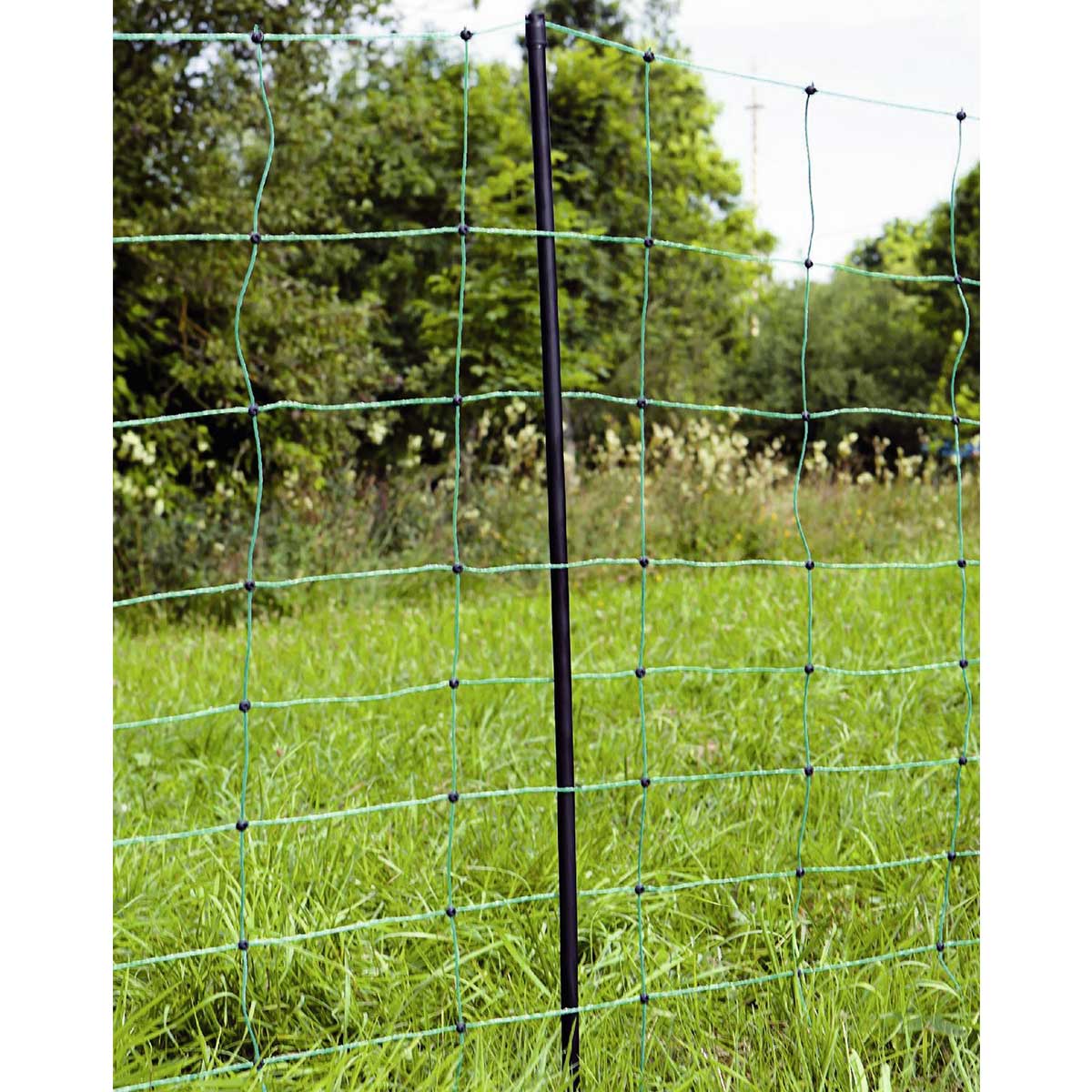 Agrarzone fårnät Classic med ström, dubbel spets, grönt 50 m x 108 cm