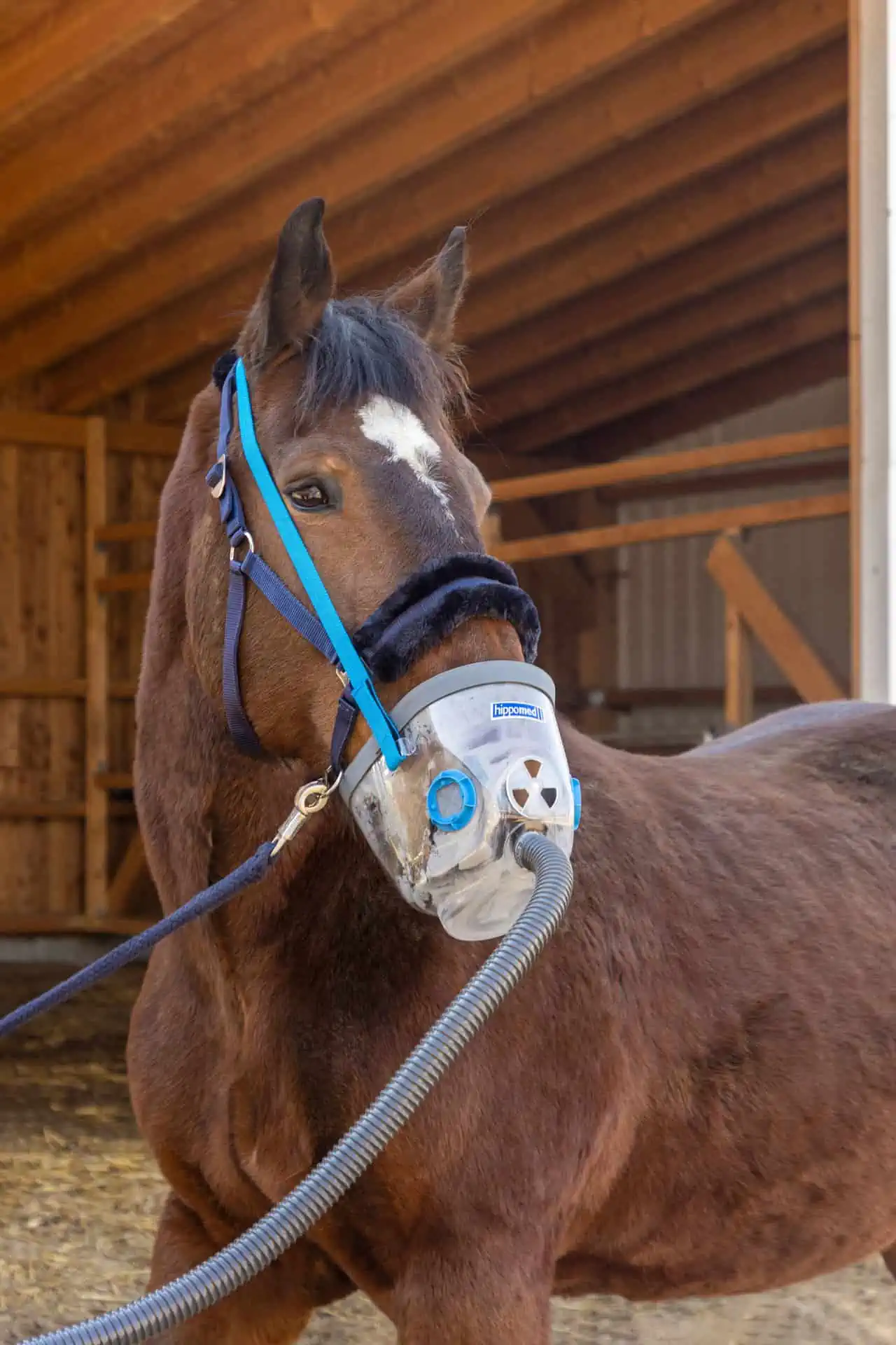Hippomed AirOne ultraljudsinhalator för hästar utan mask