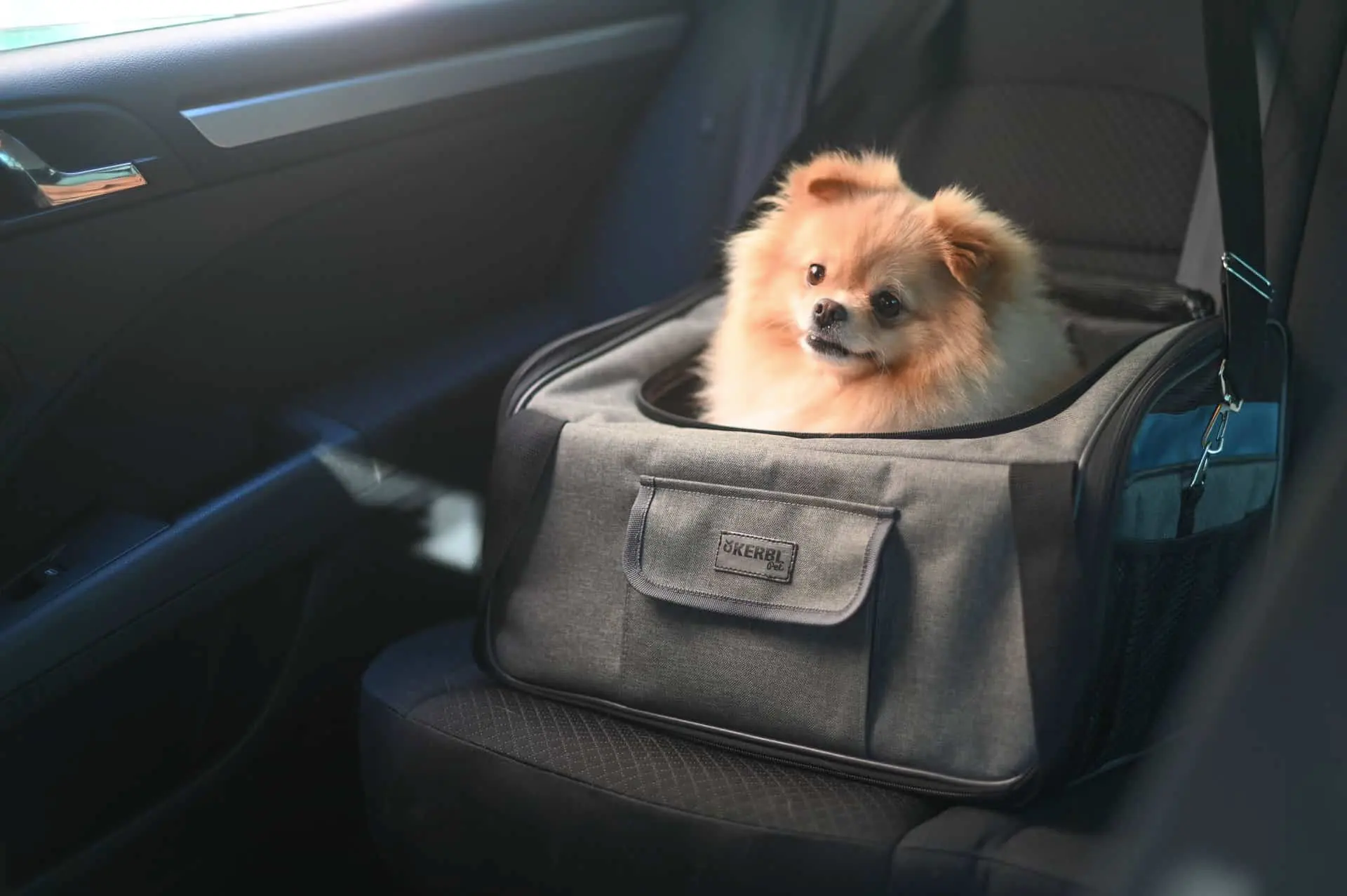 Vacation hundtransportväska för bil 44x35x30cm, grå/blå
