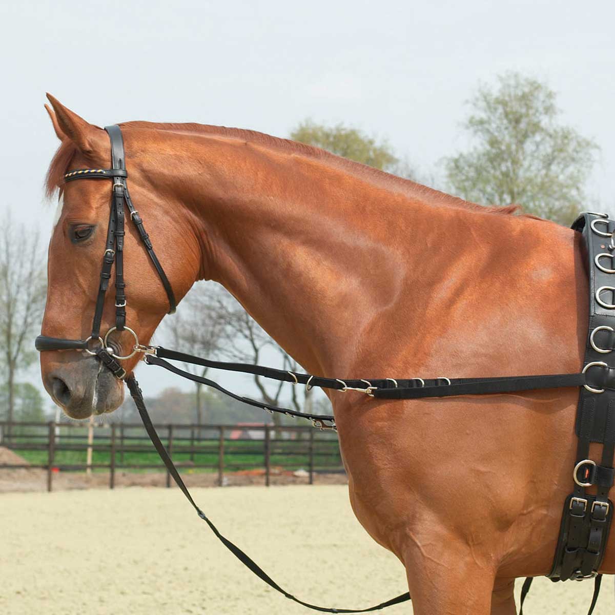 BUSSE OESEN-STARR tyglar BUSSE OESEN-STARR tyglar