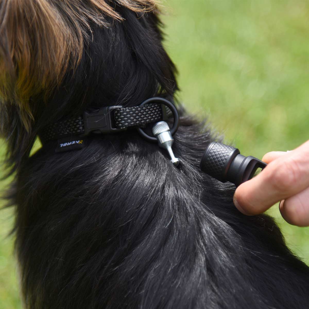 GoLeyGo 2.0 halsband för hundkoppel