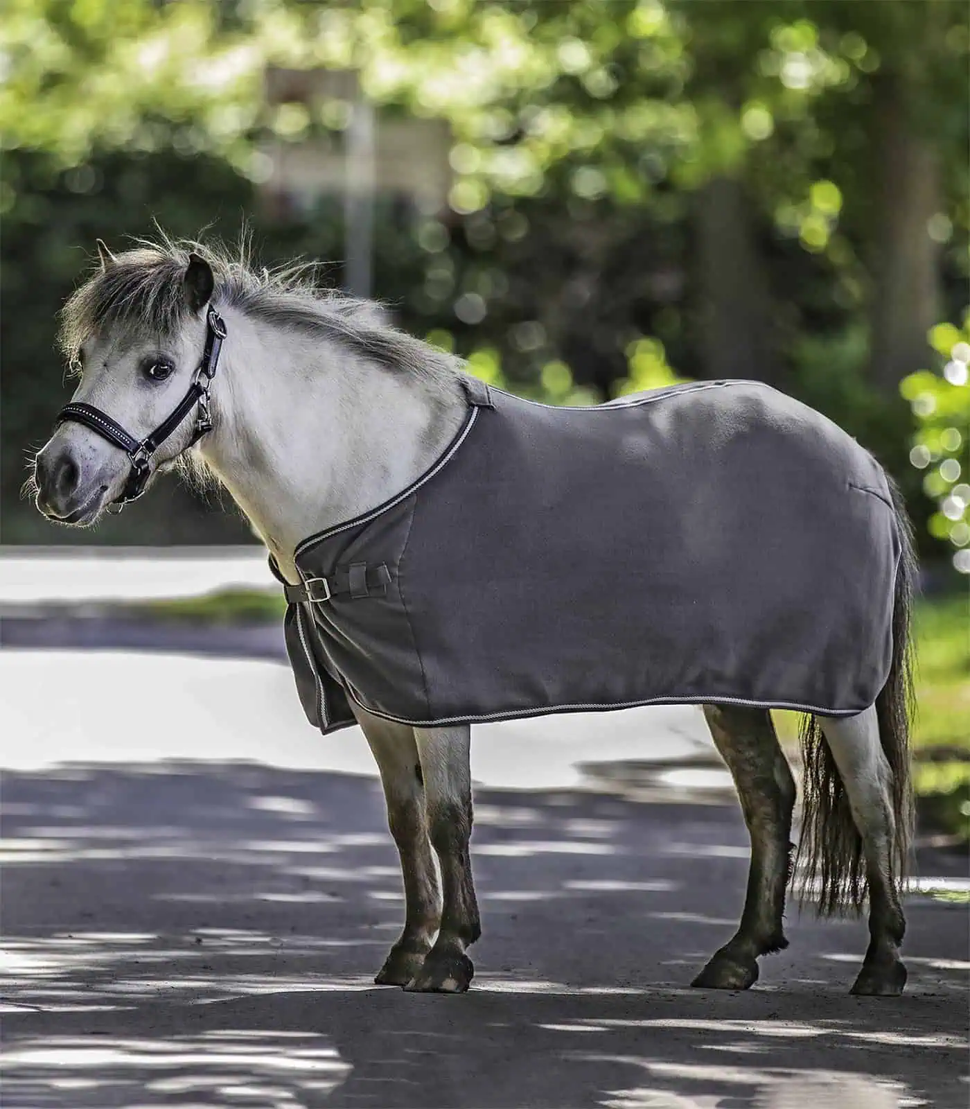 ECONOMIC Fleece Rug gray 125