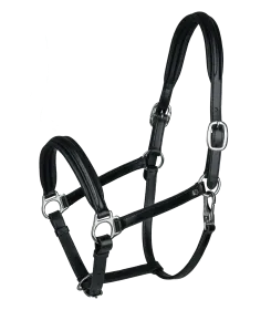 black/silver