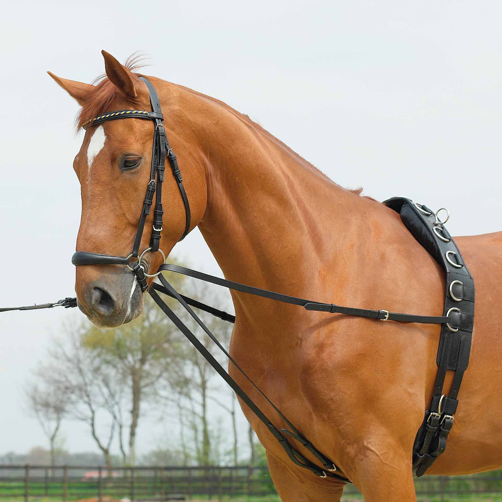 BUSSE Lauffer BASIC COB/FULL svarta lädertyglar