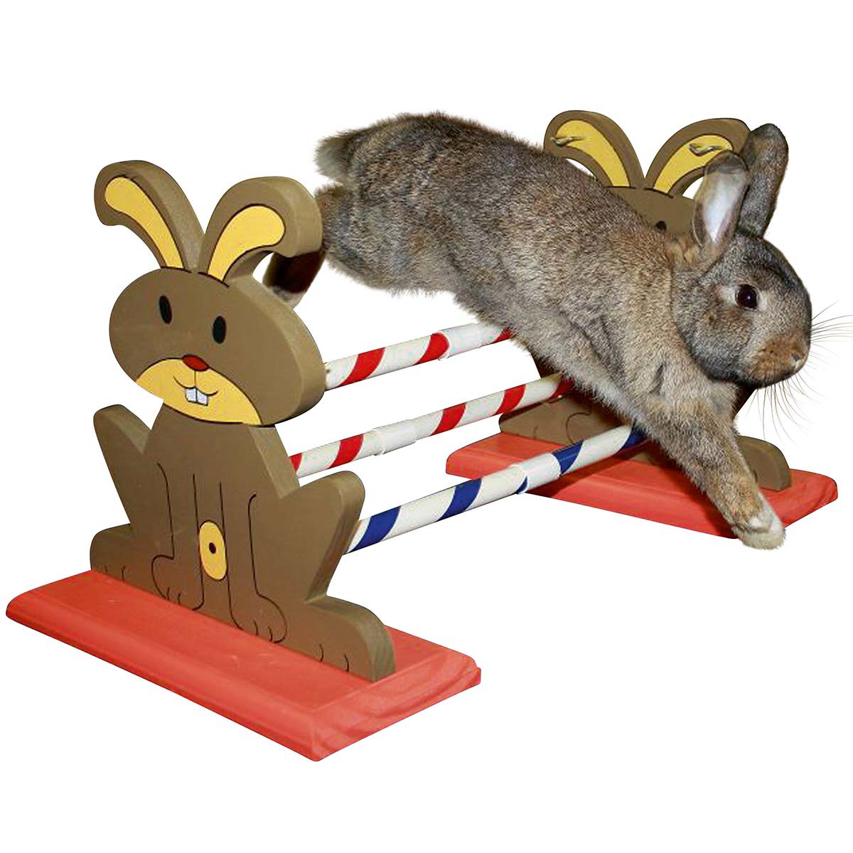 Agility Rodent Obstacles 62 x 33 x 34 cm