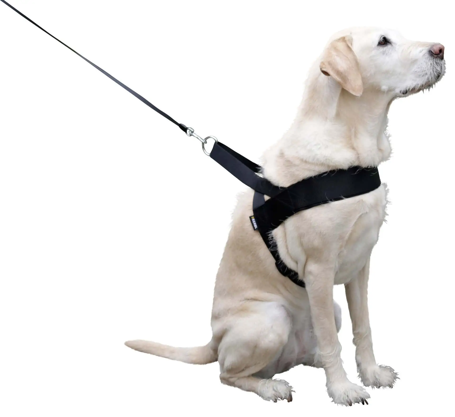 Dog Harness MIAMI PLUS