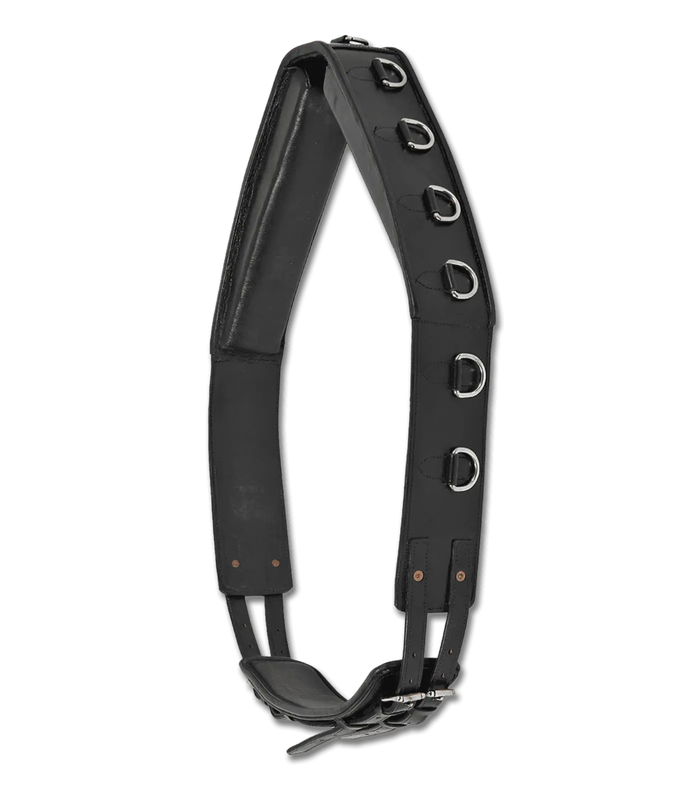 Lunging Surcingle, leather black FULL