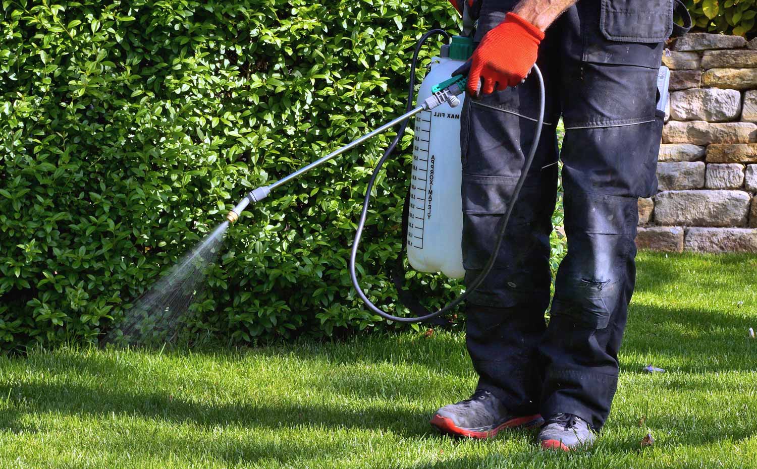 Skadedjursbekämpning Skadedjursbekämpning