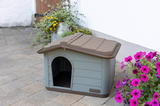 Cat House Paola Eco XL