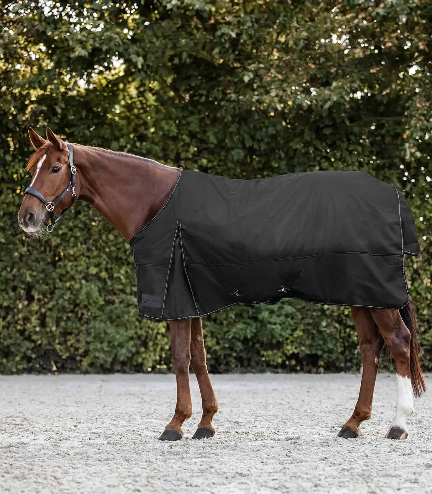 NORDIC Turnout Rug, Fleece black 145