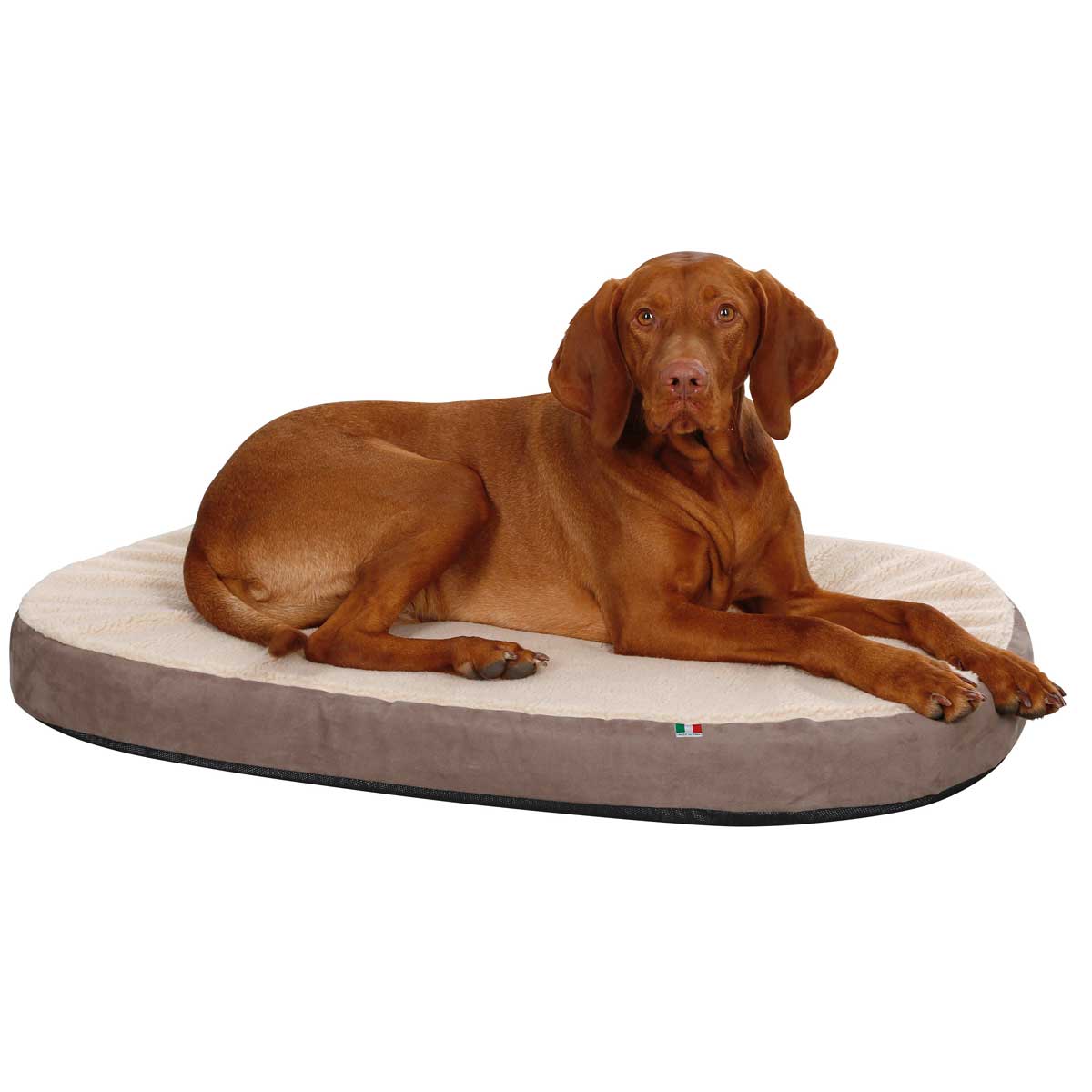 Hundmadrass memory foam oval