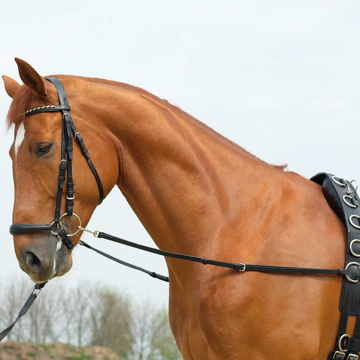 BUSSE BASIC-STARR tyglar BUSSE BASIC-STARR tyglar