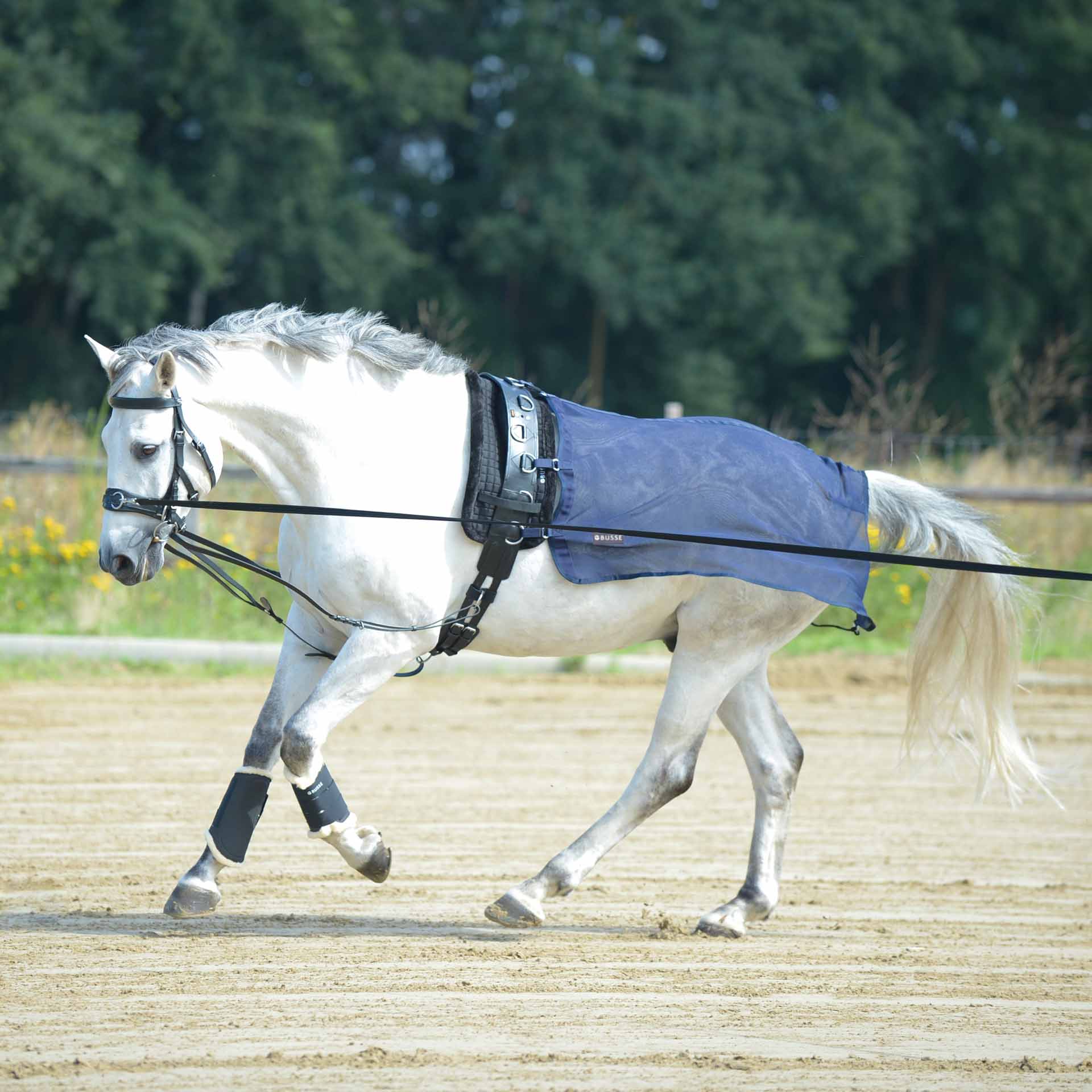 BUSSE Lungtävlingsmatta FLY 135 navy