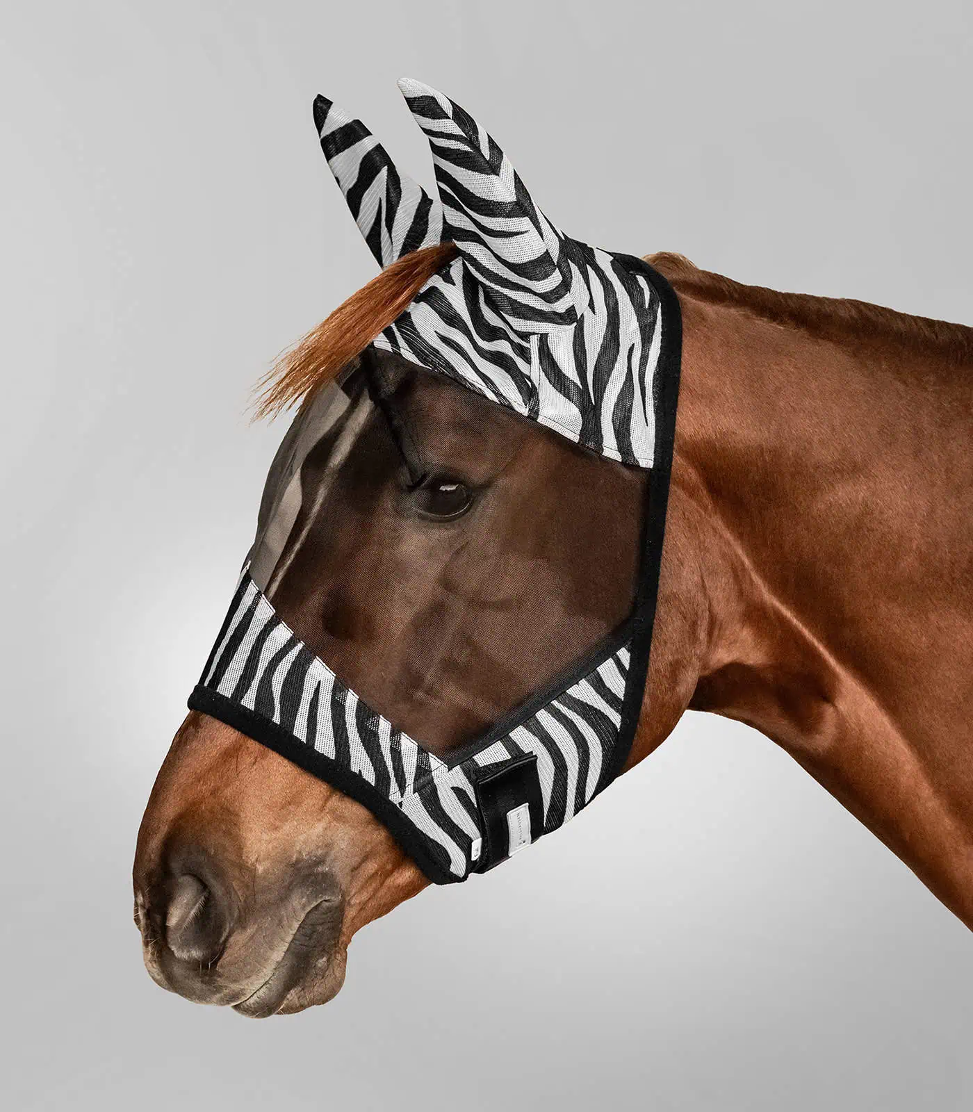 Fly mask Zebra black-and-white Pony