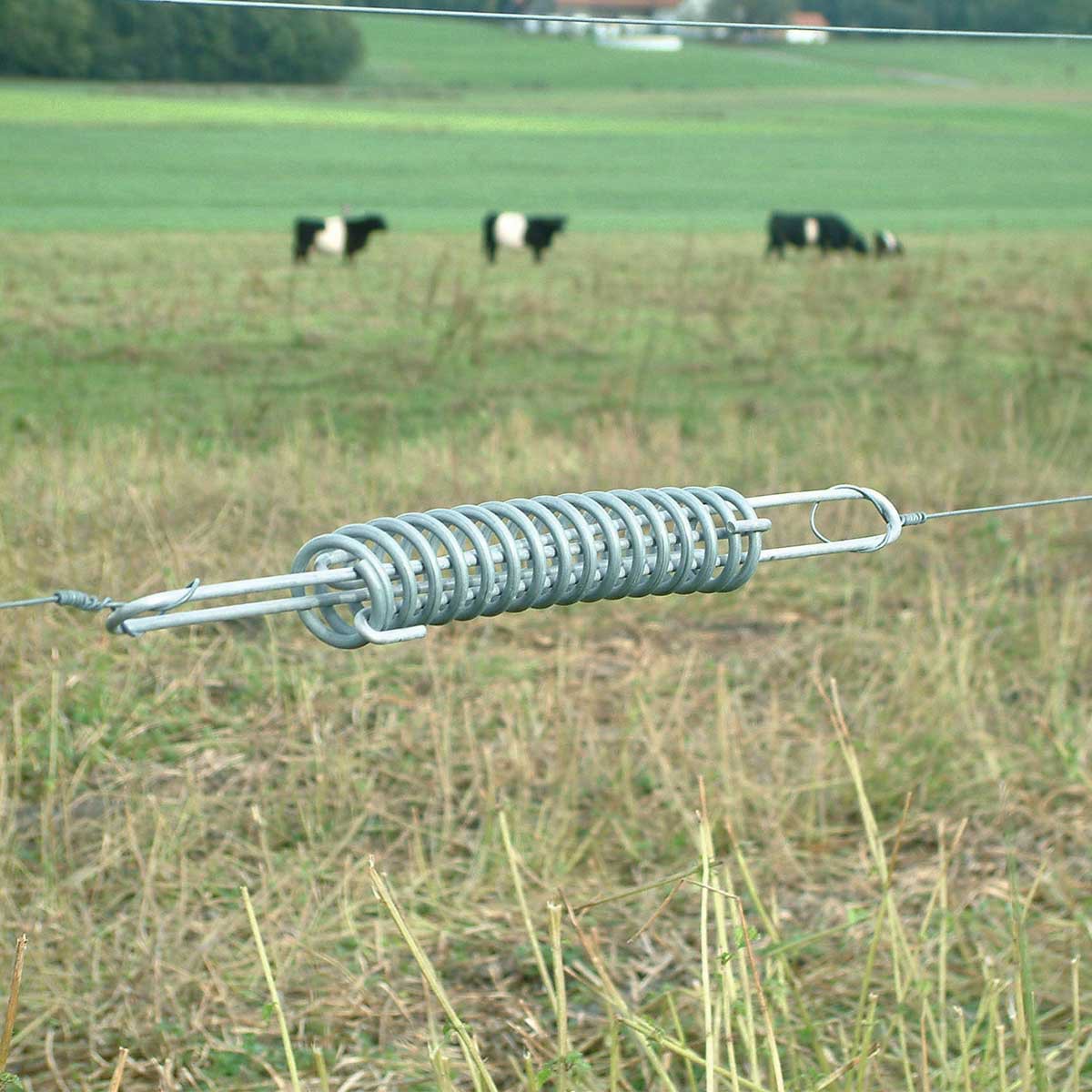 Temperaturkompensationsfjäder för betesstängseltråd i rostfritt stål Temperaturkompensationsfjäder för betesstängseltråd i rostfritt stål