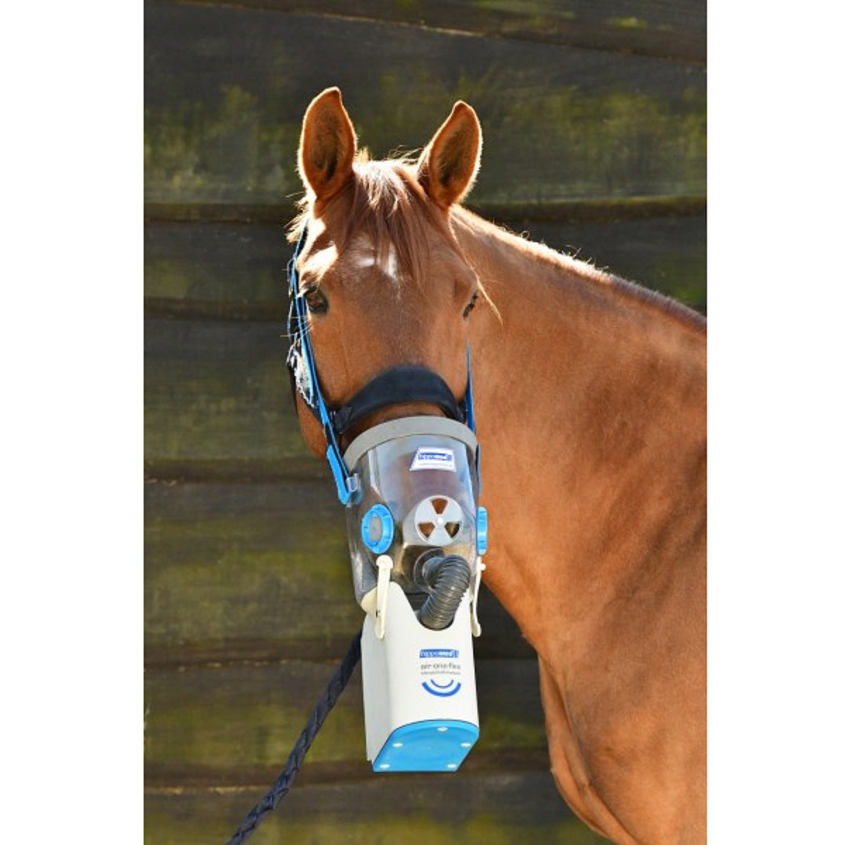 Hippomed ultraljudsinhalator horse AirOne Flex inkl. varmblodsmask, uppladdningsbart batteri