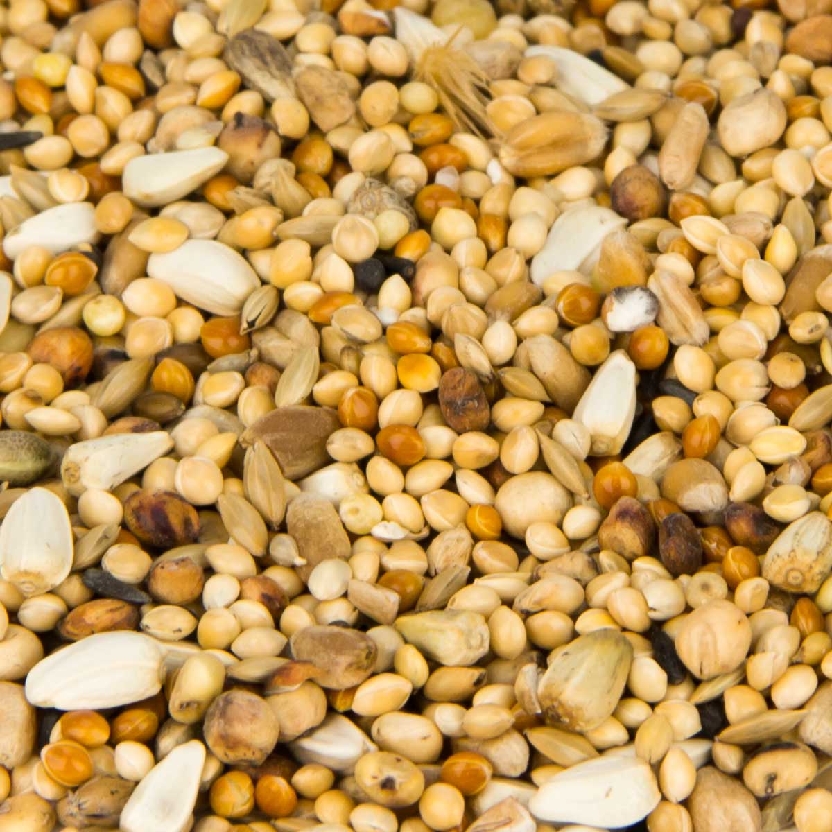 Leimüller Duvfoder små korn utan ärtor och majs 25 kg
