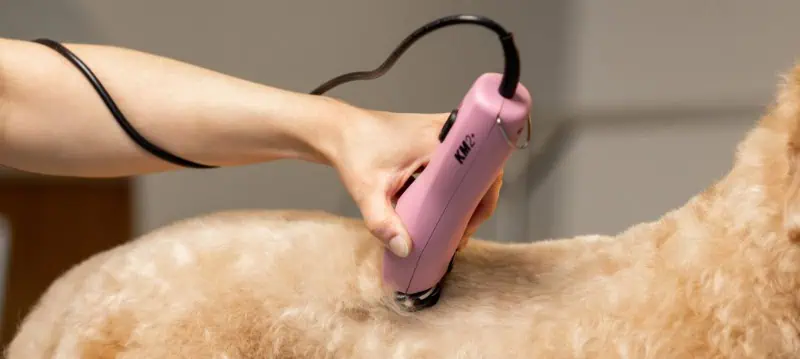 Hundklippare Med Kabel