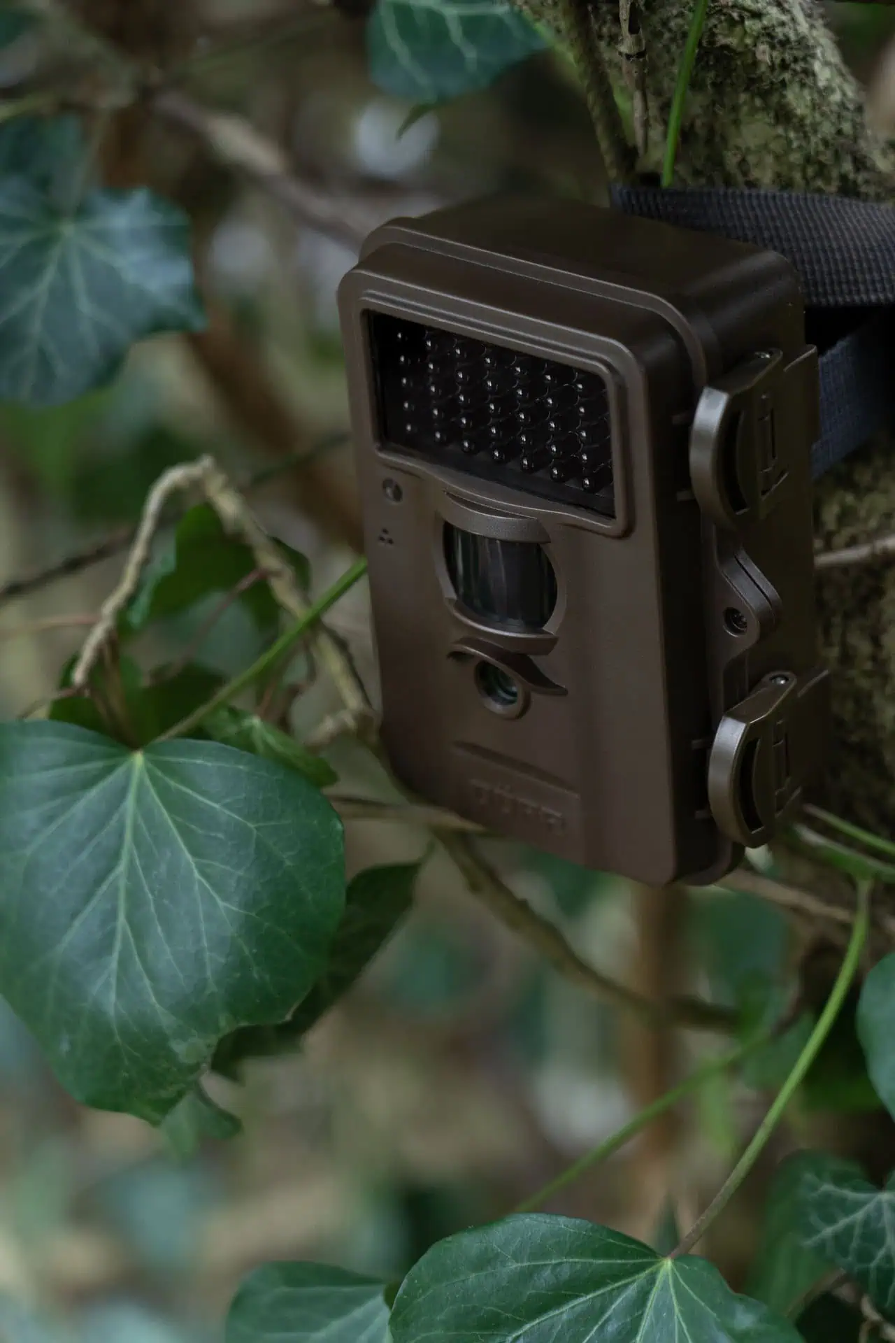 Övervakningskamera SnapShot Mini Svart 30MP 4K