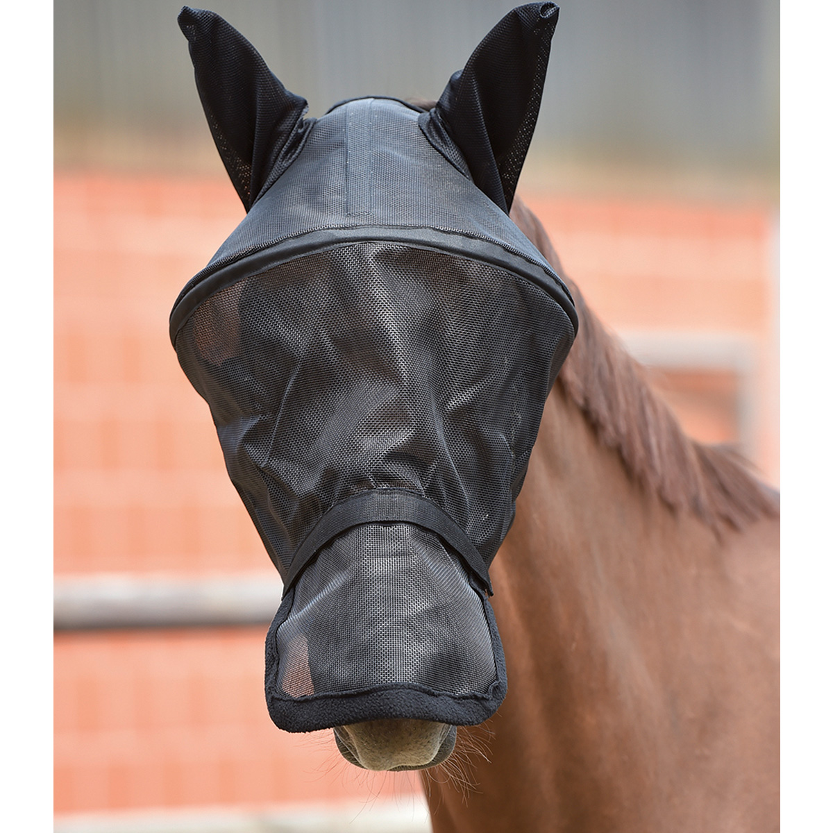 BUSSE Fly mask FLY PROFESSIONAL FULL
