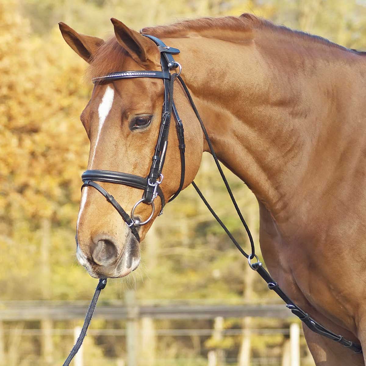 BUSSE Chambon BASIC hjälptecken BUSSE Chambon BASIC hjälptecken