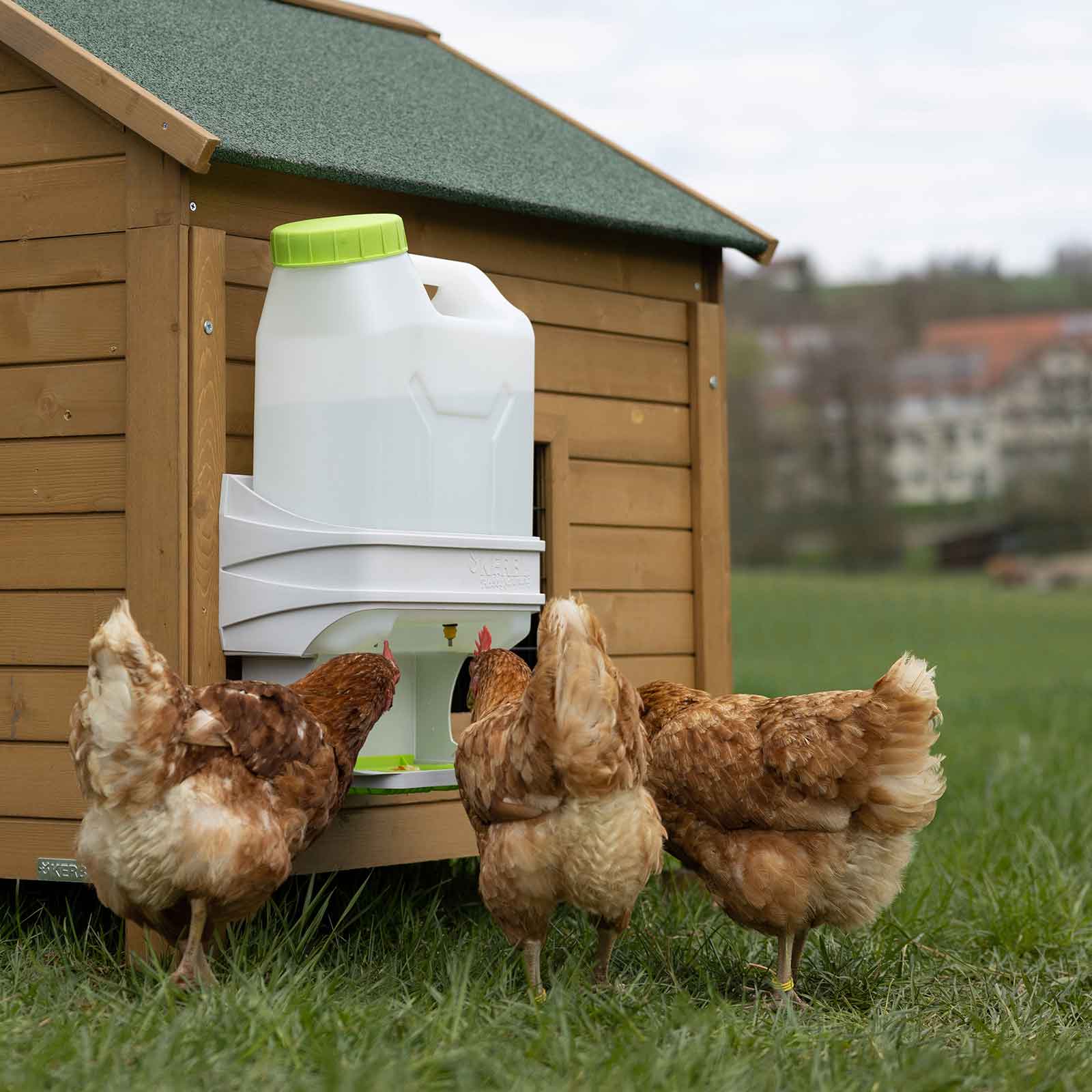 SmartCoop Dryckesbehållare för fjäderfä 10 liter