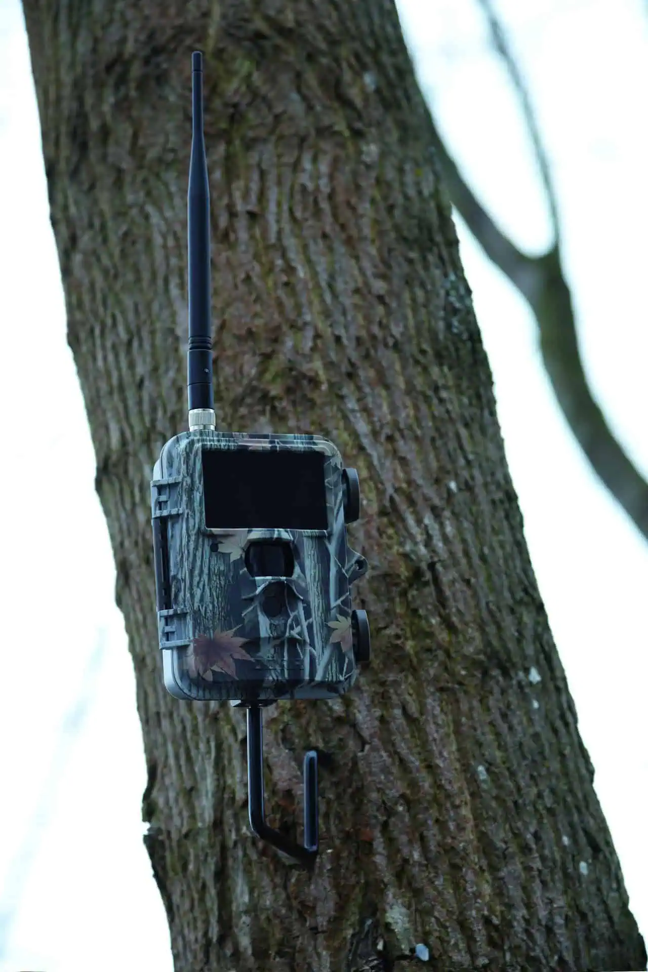 Trädskruv 1/4" för övervakningskameror