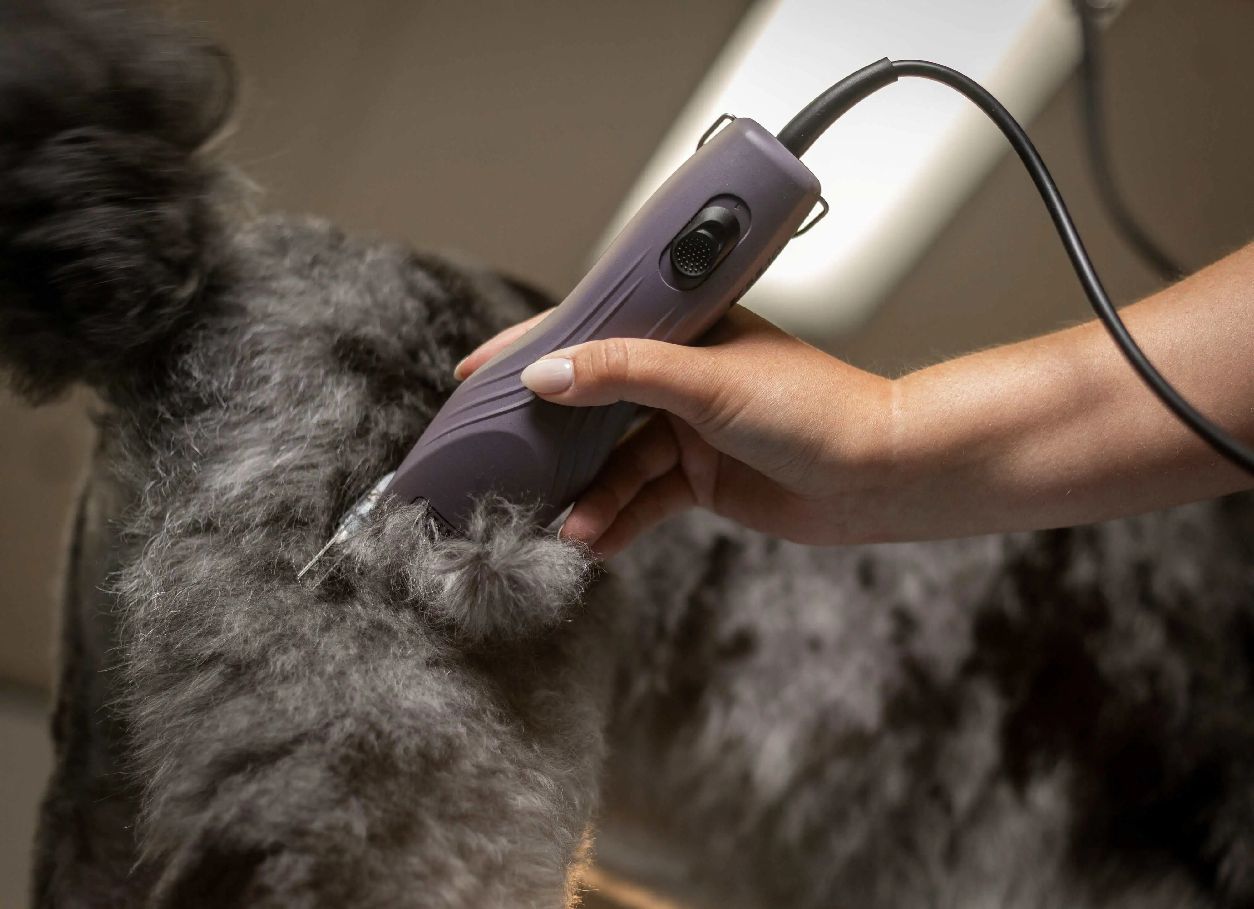 Powerful Brushless Motor for Efficient Grooming