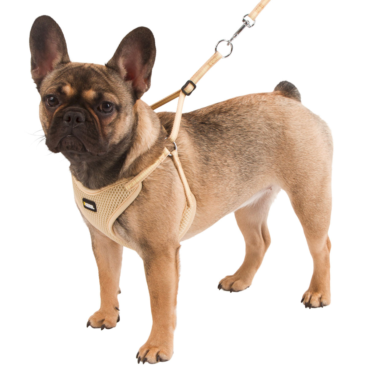 Puppy harness with rope, beige, 30-50cm / 10mm