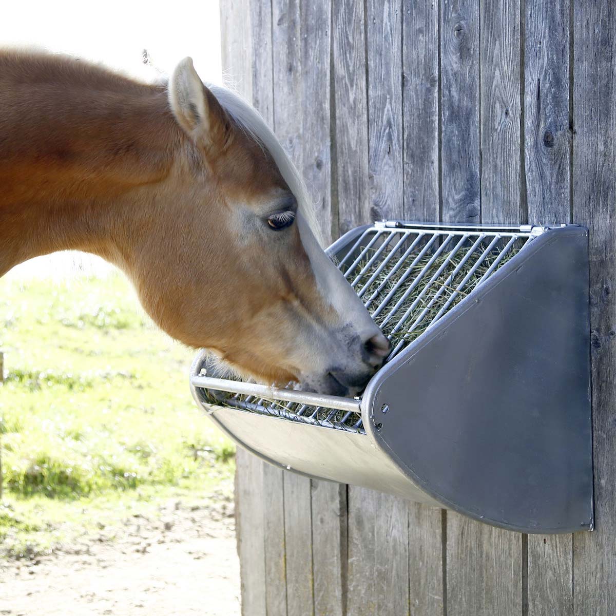 Höbehållare för hästar i metall med foderbesparande galler
