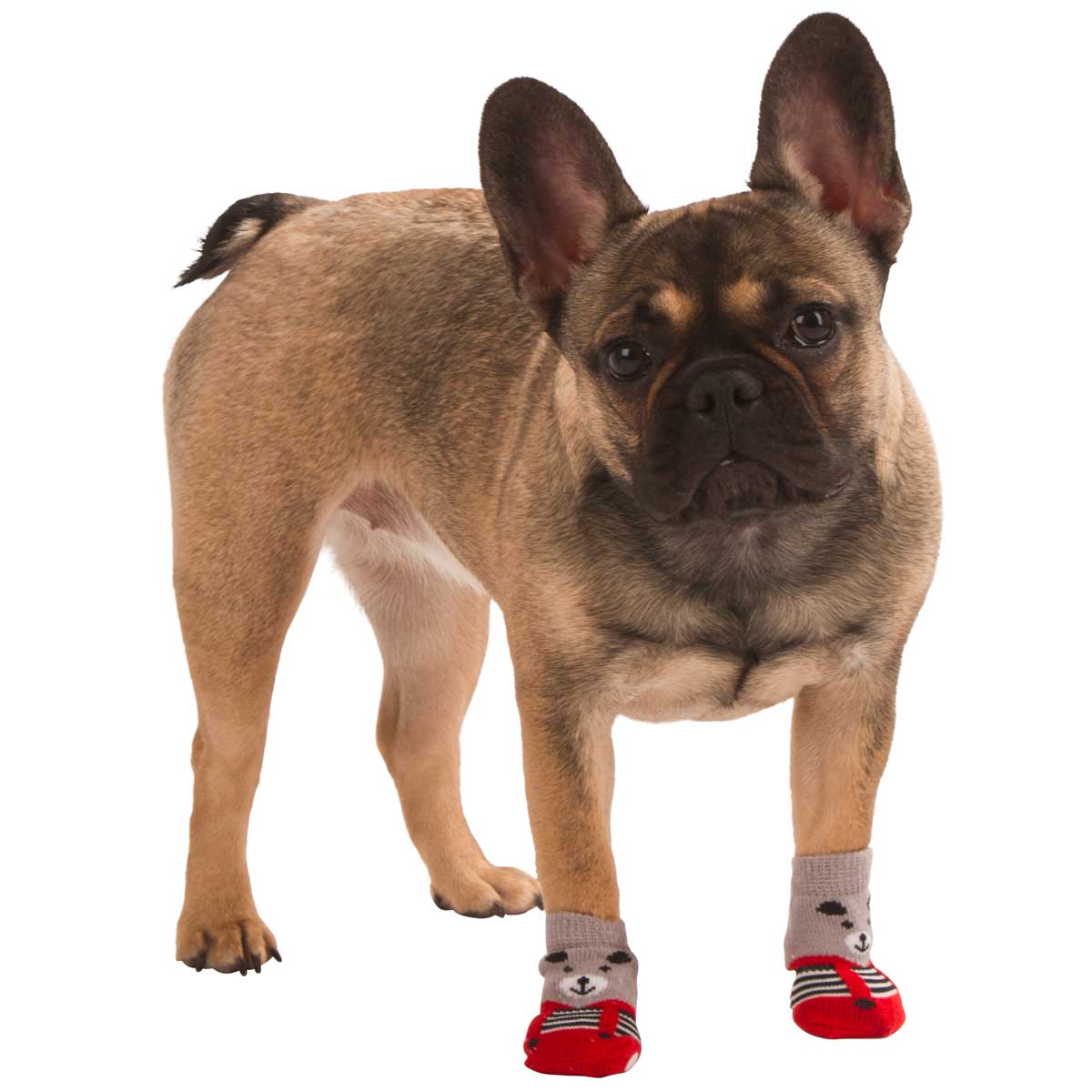 Dog socks Bruno L, grey/red L