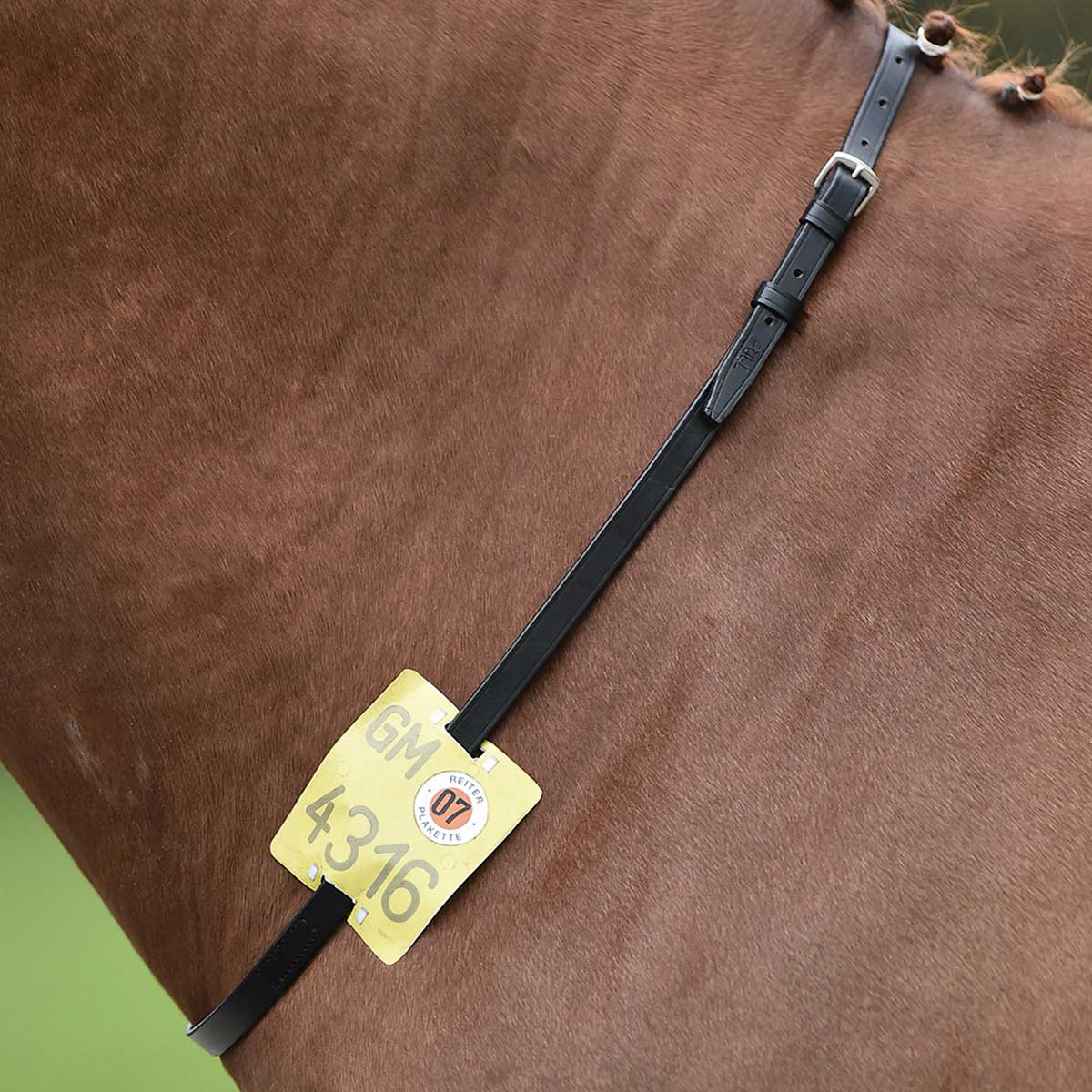 BUSSE Halsband för identifiering av ridning Ponny