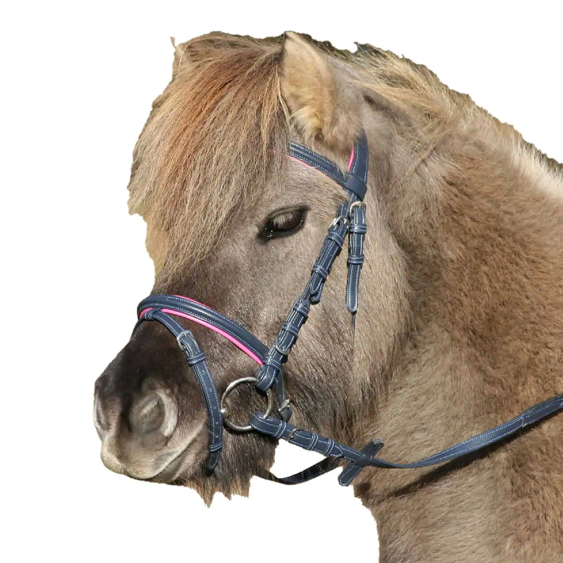 Unicorn Bridle 2 midnight blue/azalea Mini Shetty