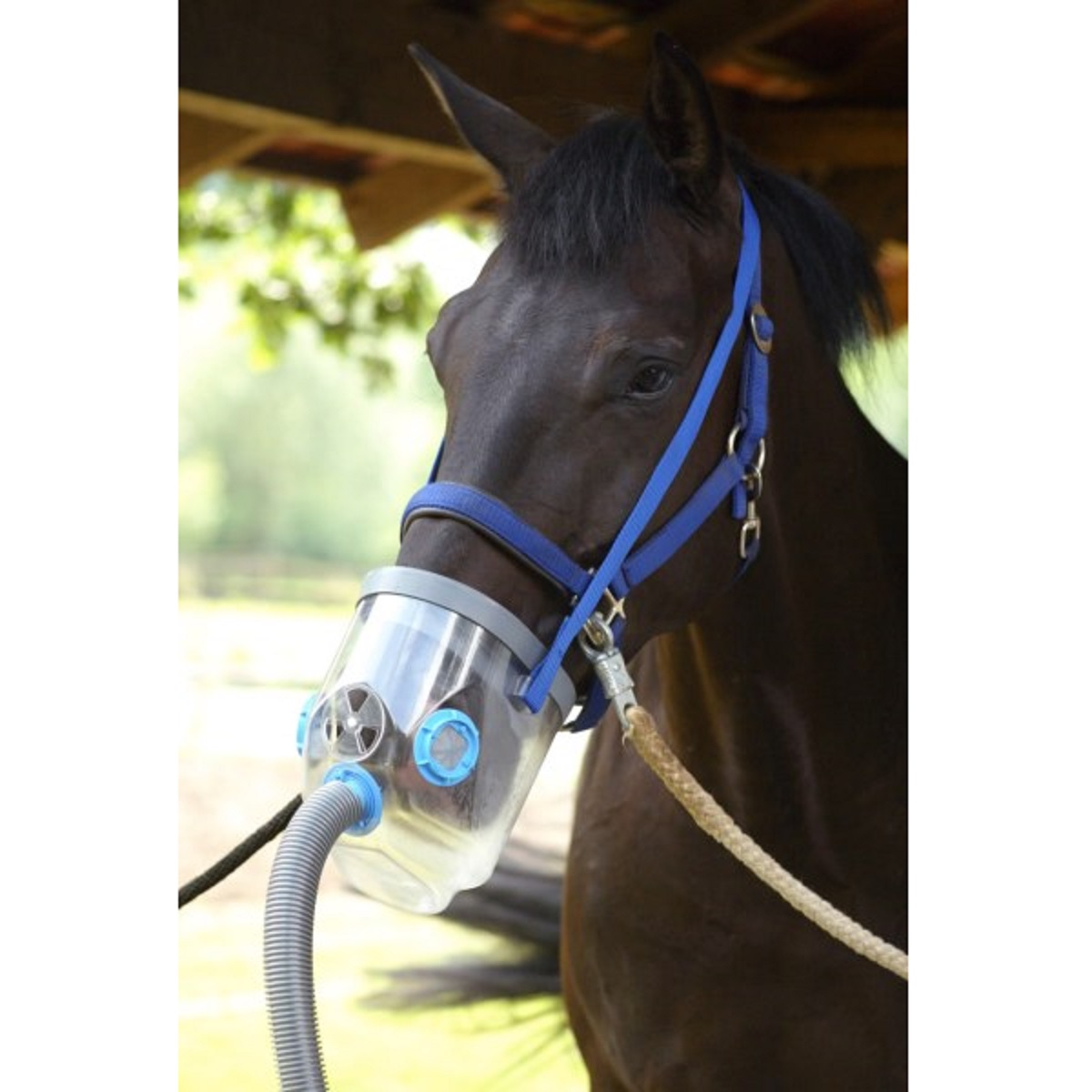 Hippomed ultraljudsinhalator häst AirOne inkl. varm blodmask