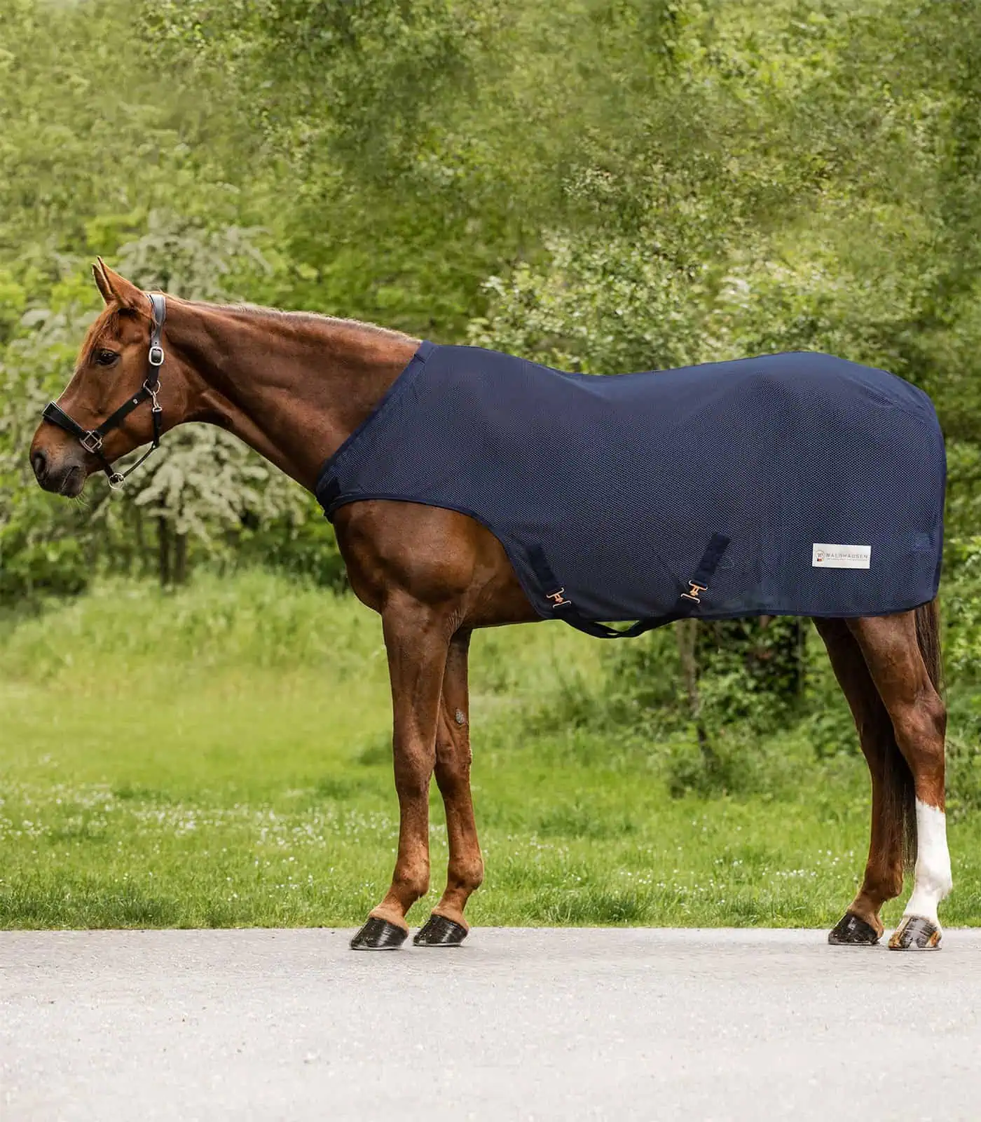 COMFORT Fly-Horse Walker Rug night blue 125