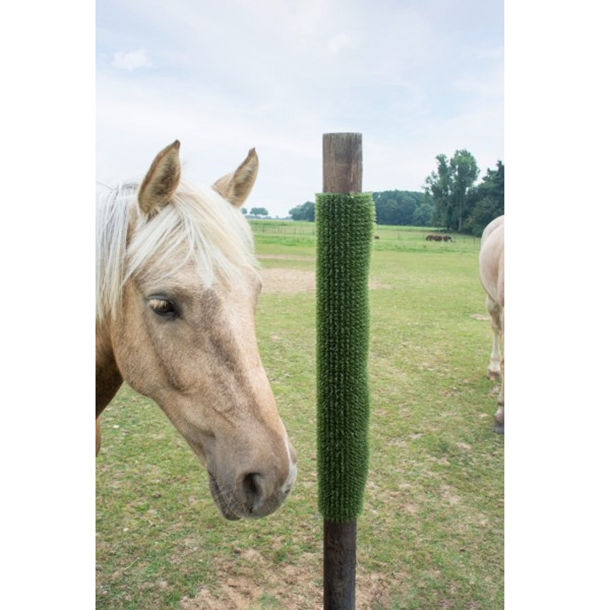 Skrapmatta för hästar ScratchPad grönt 40 x 60 cm