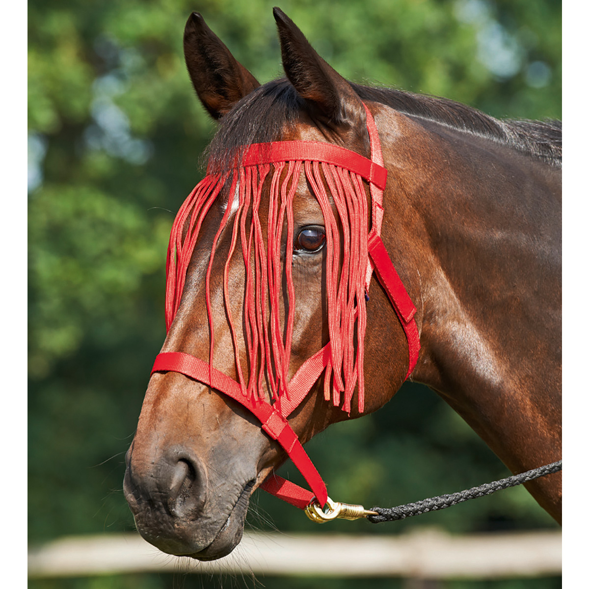 BUSSE Halter WHEAT FRANSEN röd FULL