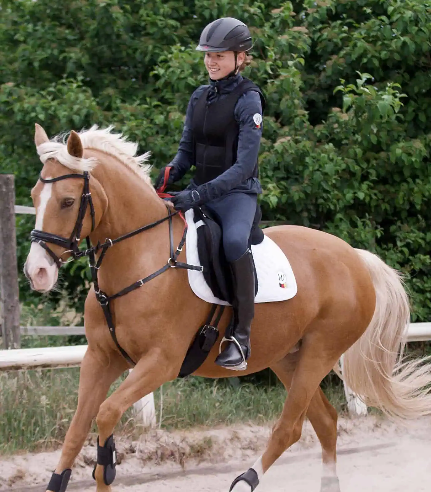 Waldhausen Secutrust breastplate with safety reins black Pony