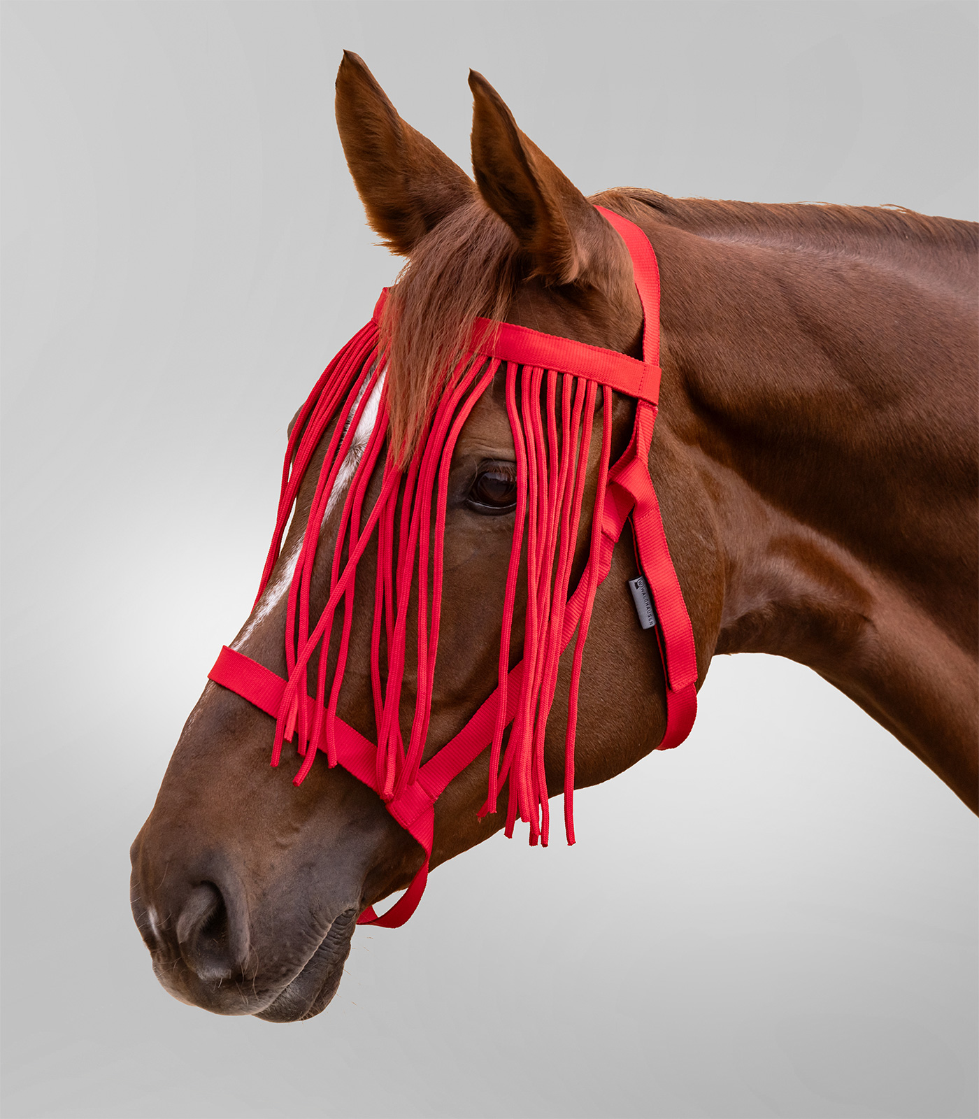 Waldhausen pasture halter with fly fringe red, COB