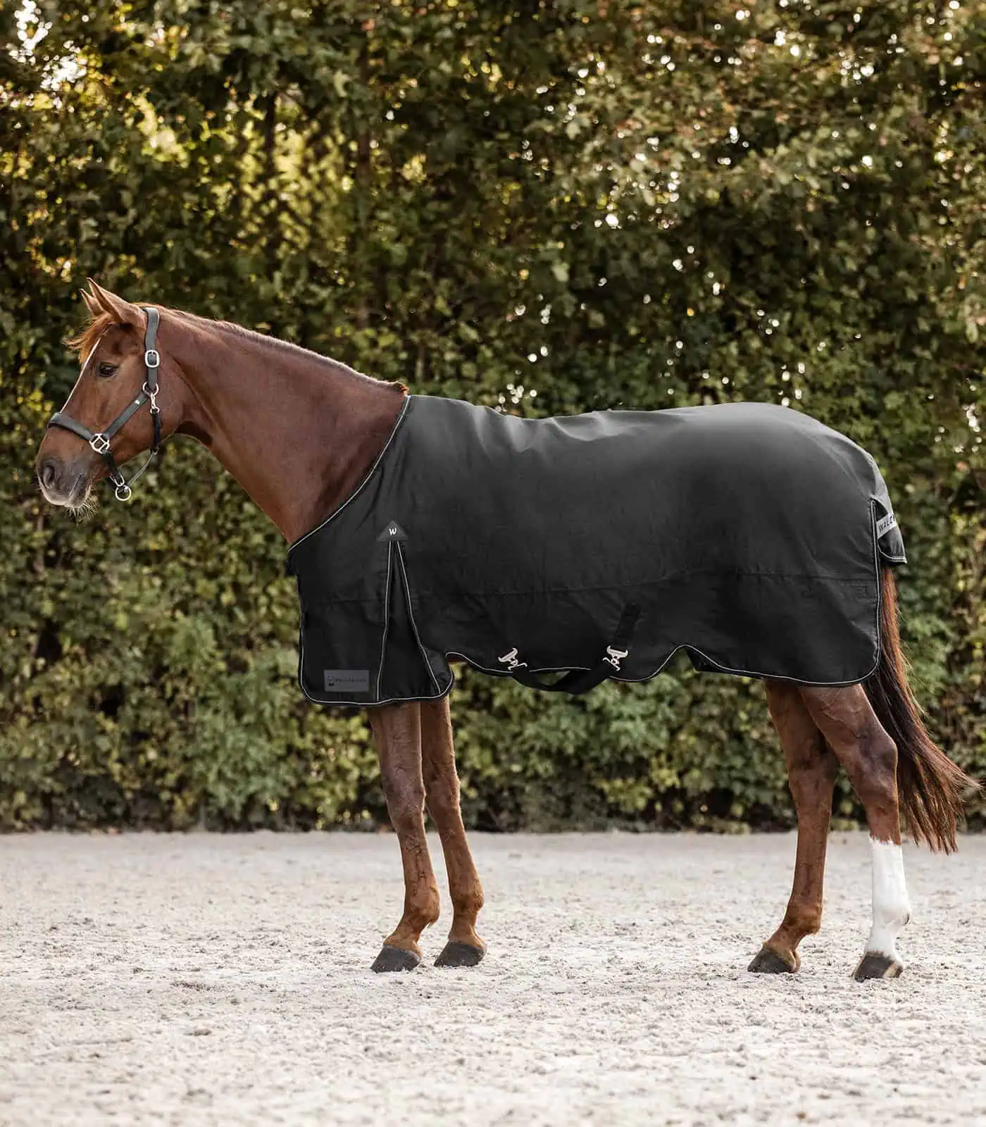 ARCTIC Turnout Rug, 100 g black 115