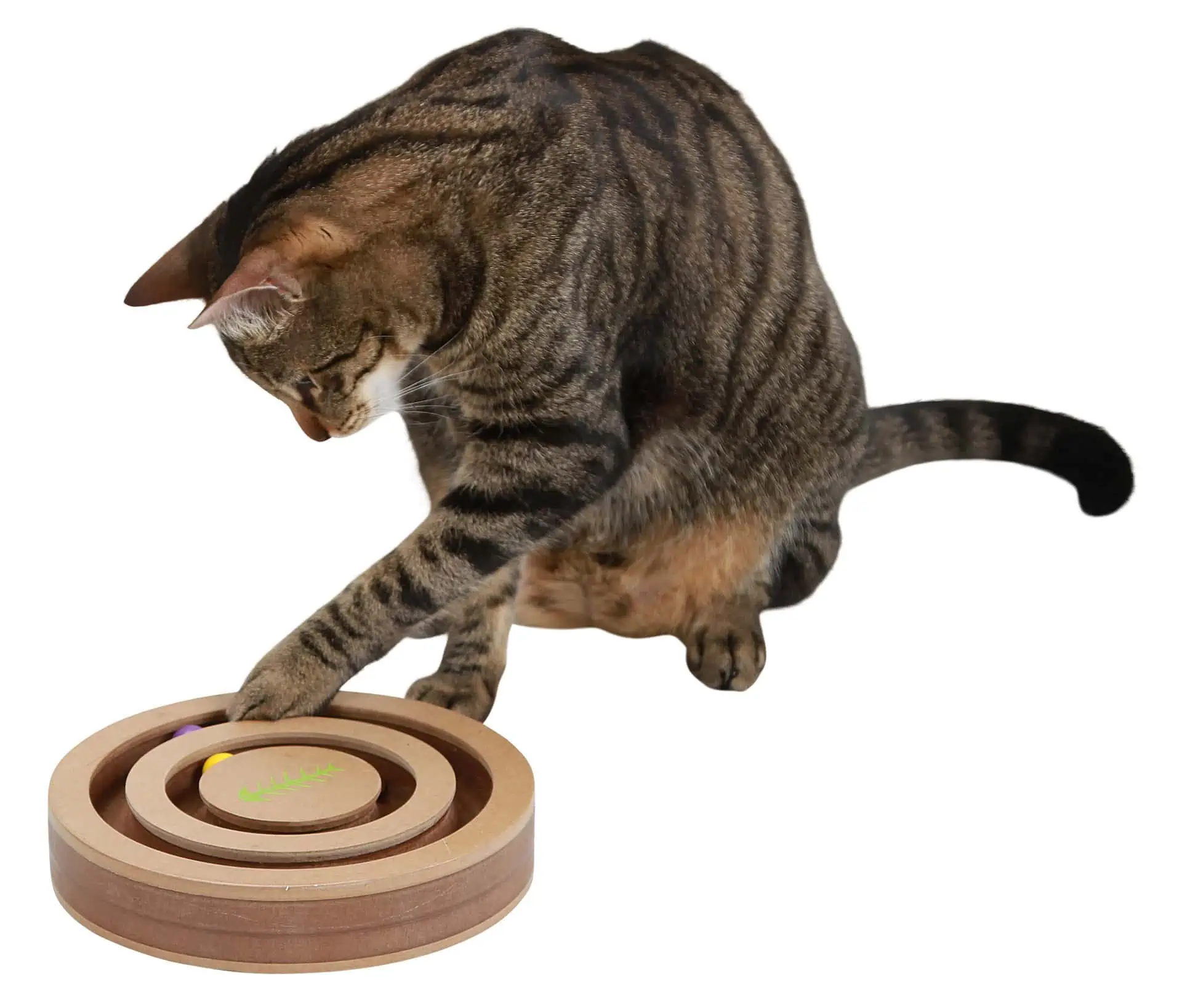 Tänkande och lärande leksak Spännande för katter 20x9cm