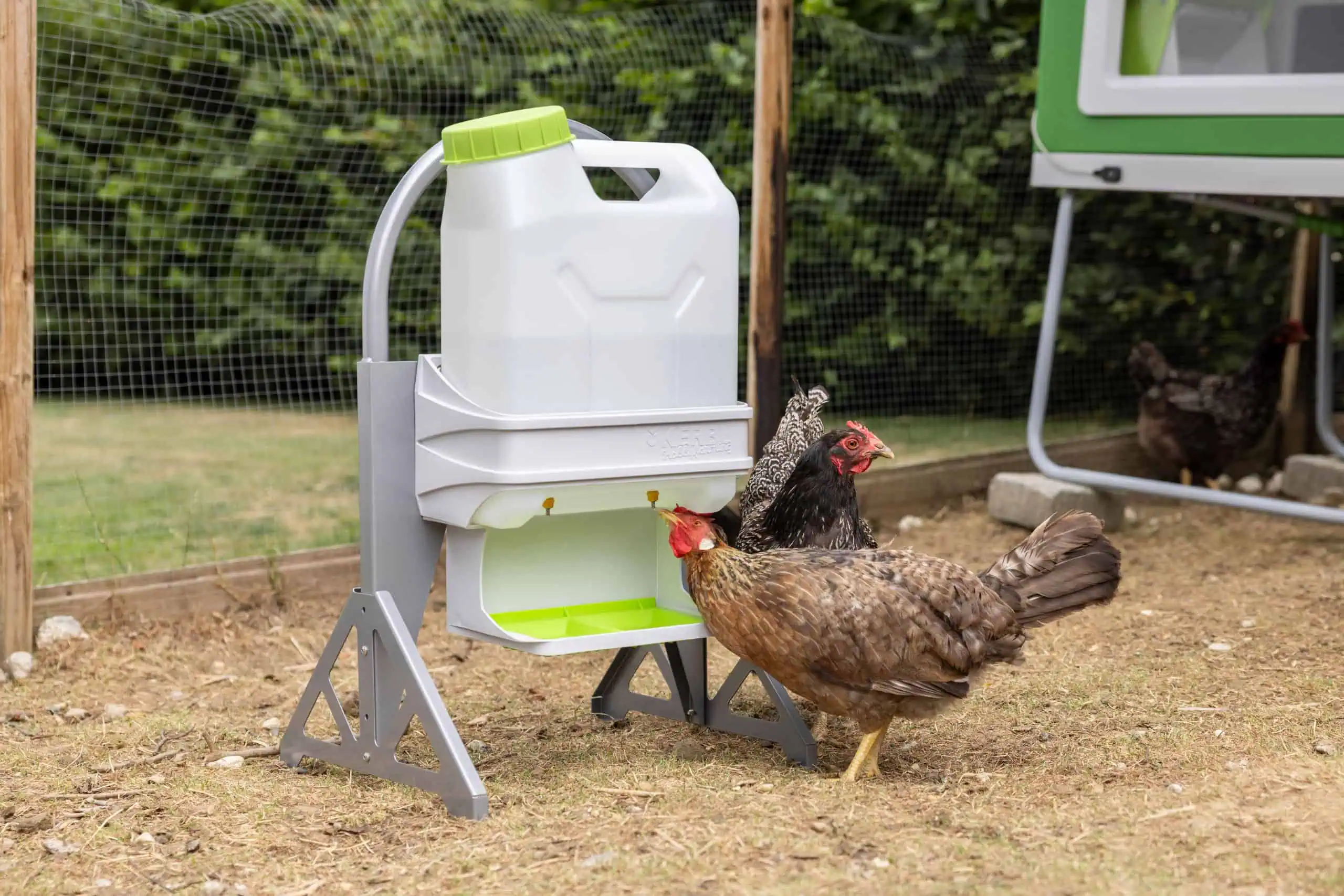 SmartCoop Feed & Water Station Set