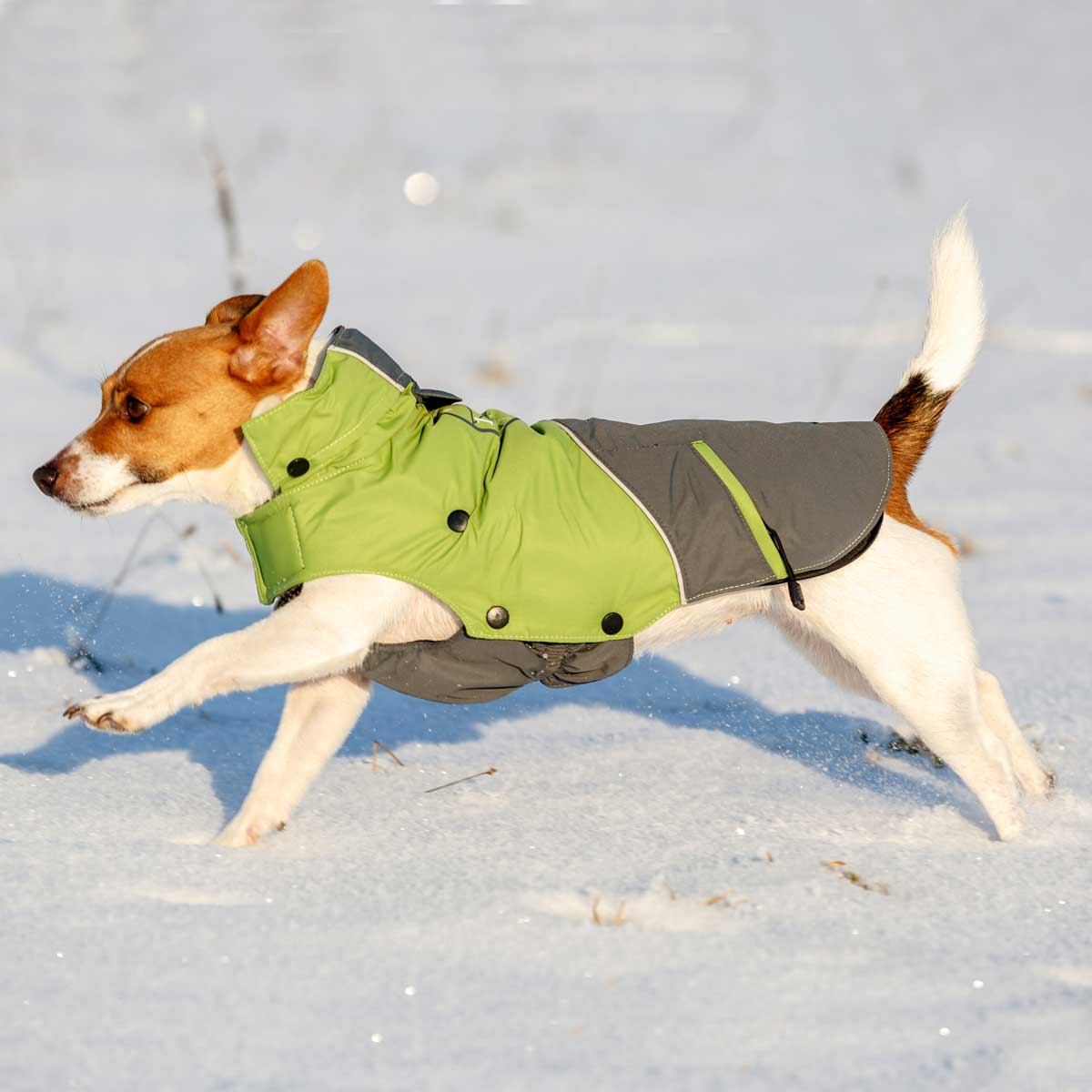 Kerbl Outdoor Dog Coat Vancouver