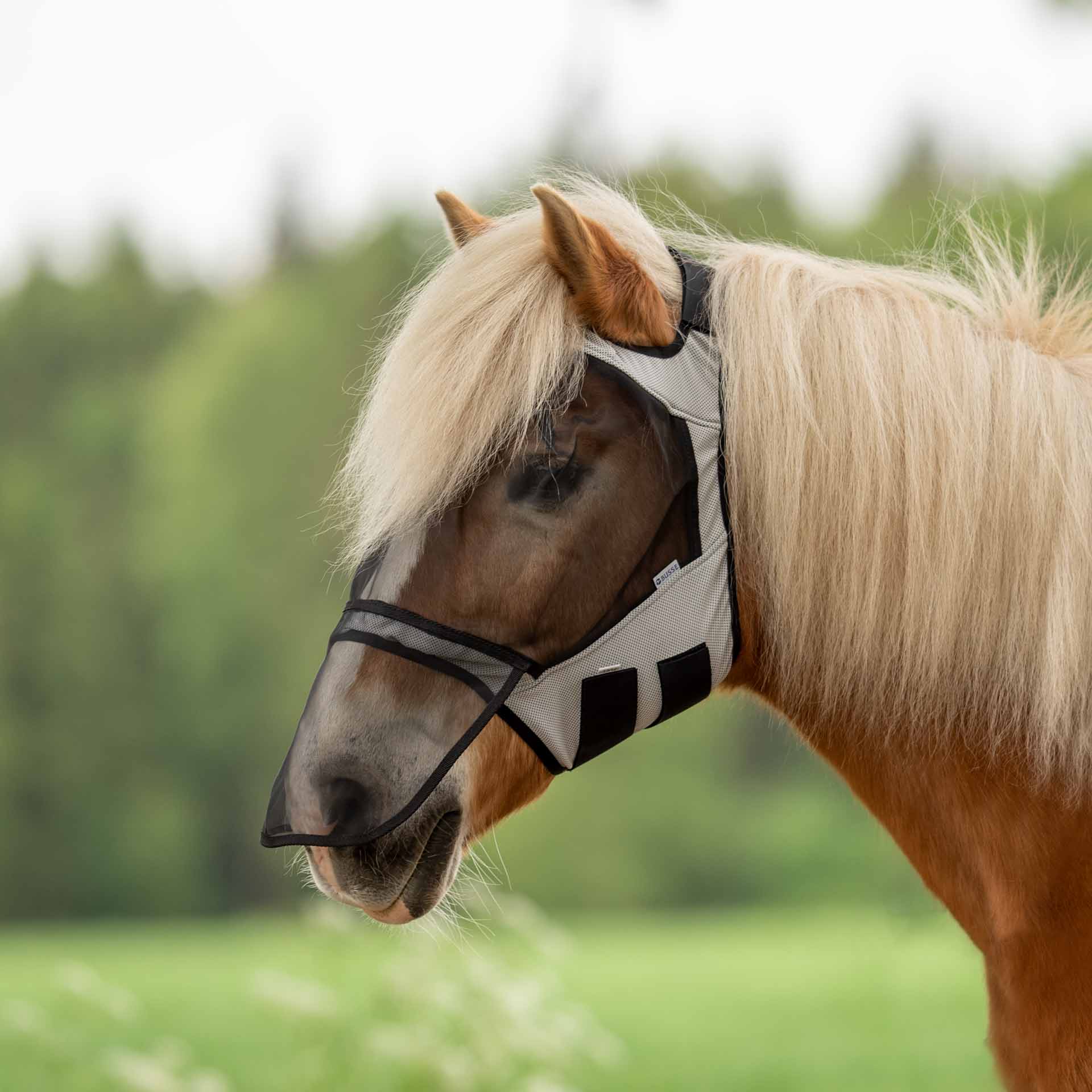 BUSSE Flugmask FLY GUARD FREE PLUS Shetty ljusgrå