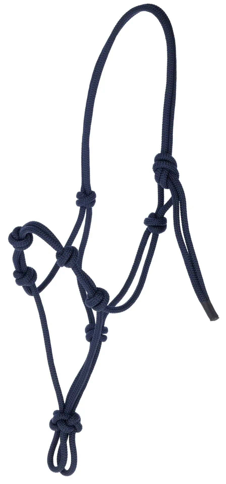 Covalliero Knot Halter, dark blue, COB