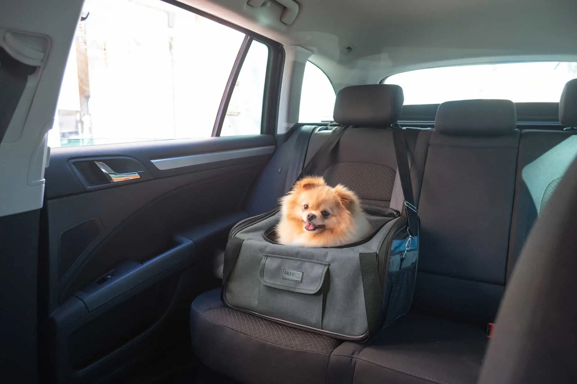 Vacation hundtransportväska för bil 44x35x30cm, grå/blå