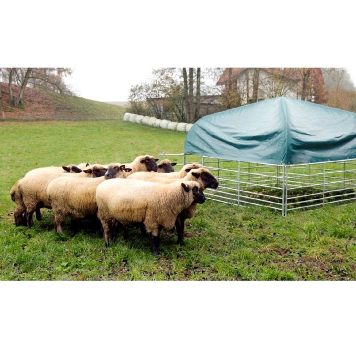 Komplett uppsättning betesskydd för får och getter 2,75 x 2,75 m