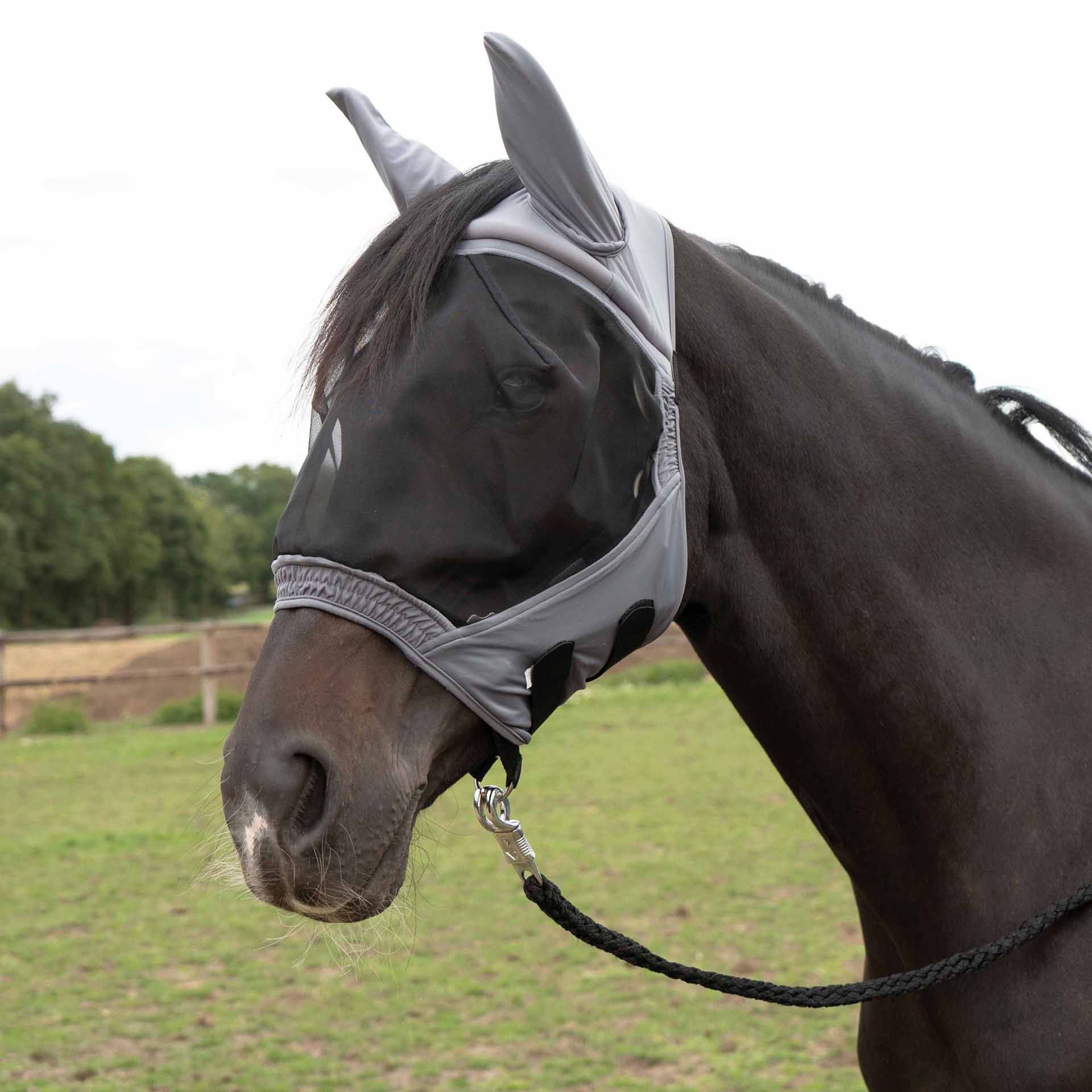 BUSSE Flugmask FLY BUCKLER GAP Ponny grå