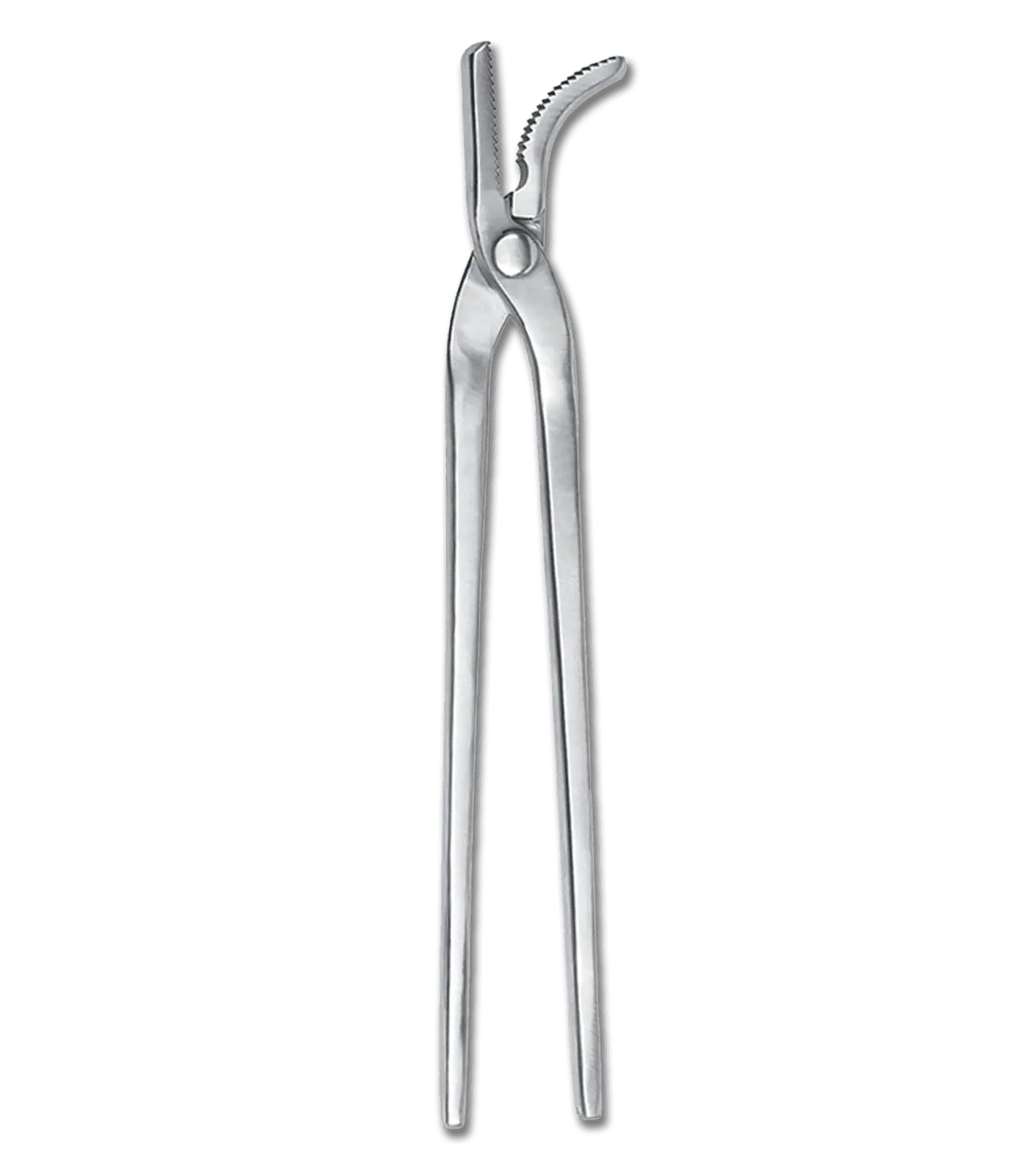 Hoof Clenching Tongs, stainless steel 