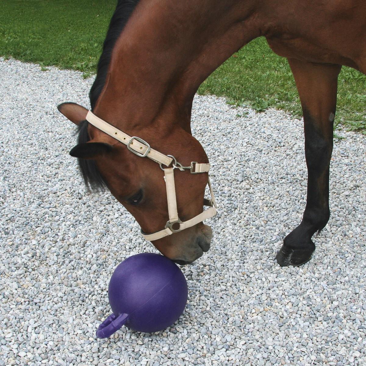 Hästboll med äppeldoft